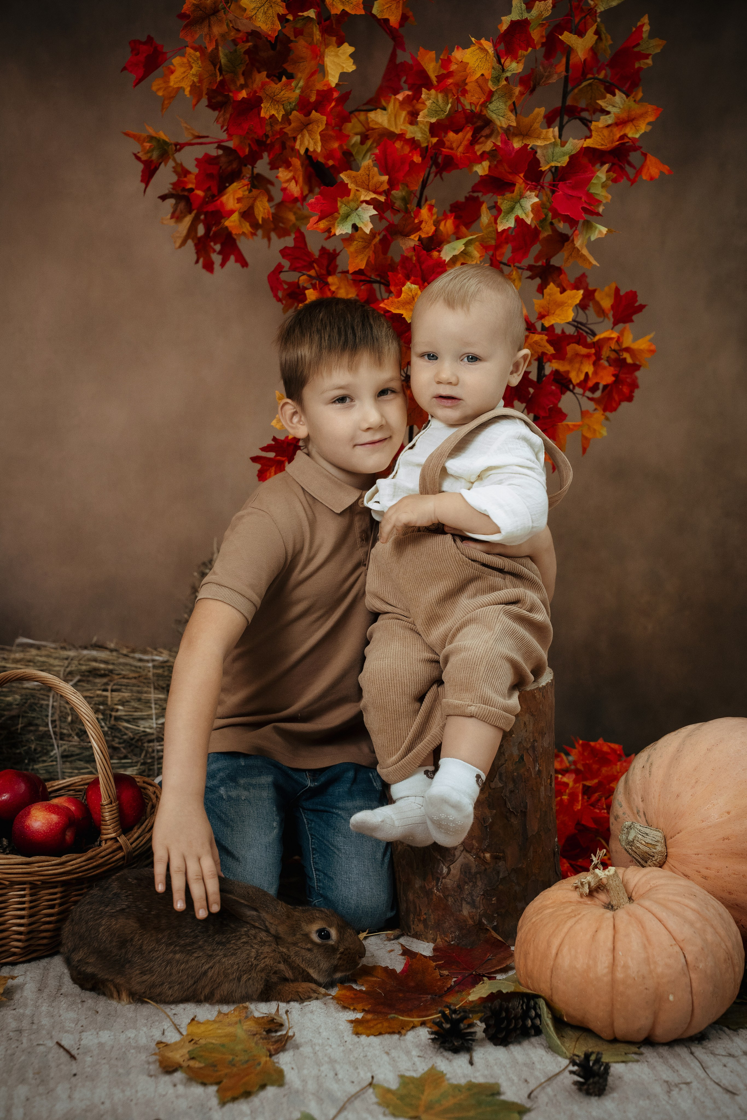 Ёжик. Фотограф Казакова Анастасия