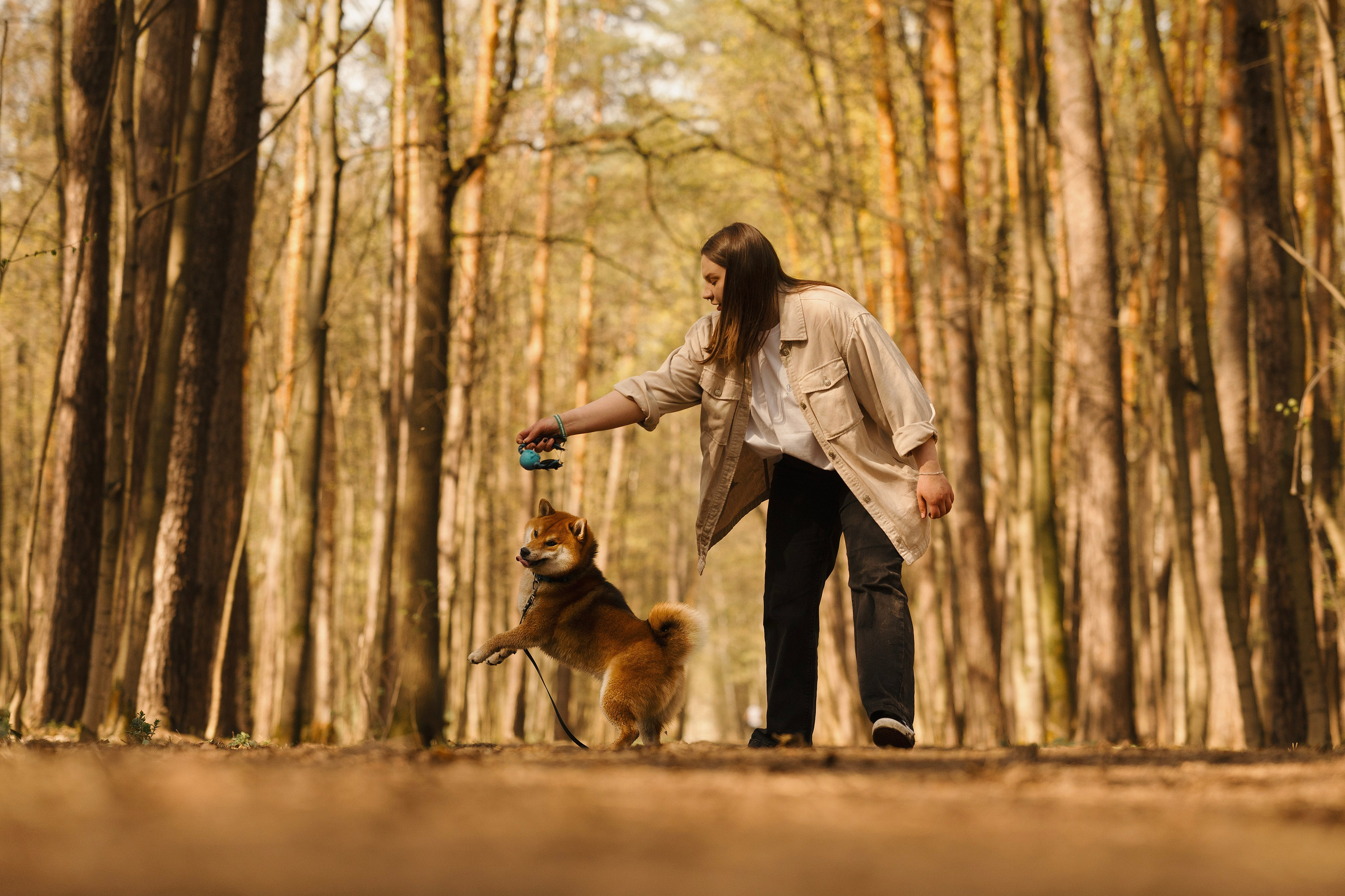 Юнки. Фотограф- анималист Александра Матвеева