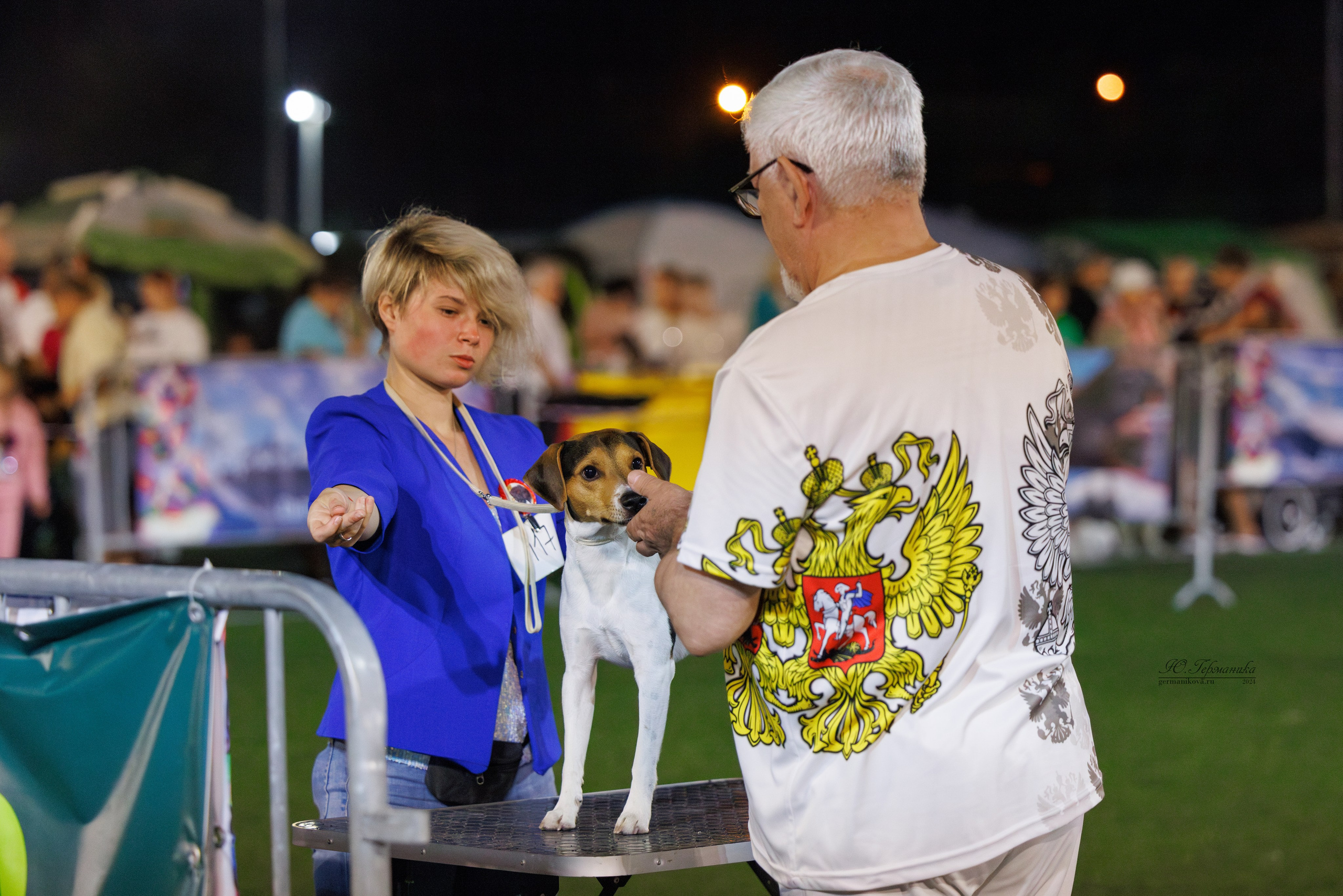 Волгоград 2-4.08.2024. Фотограф-анималист Юлия Германика