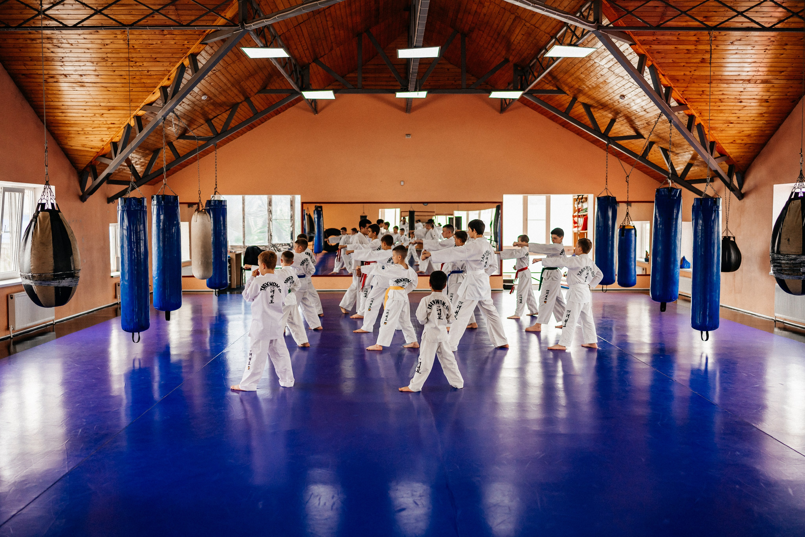 Съемка спортивных мероприятий. Taekwondo/2023. Семейный фотограф в Москве Ирина Жур