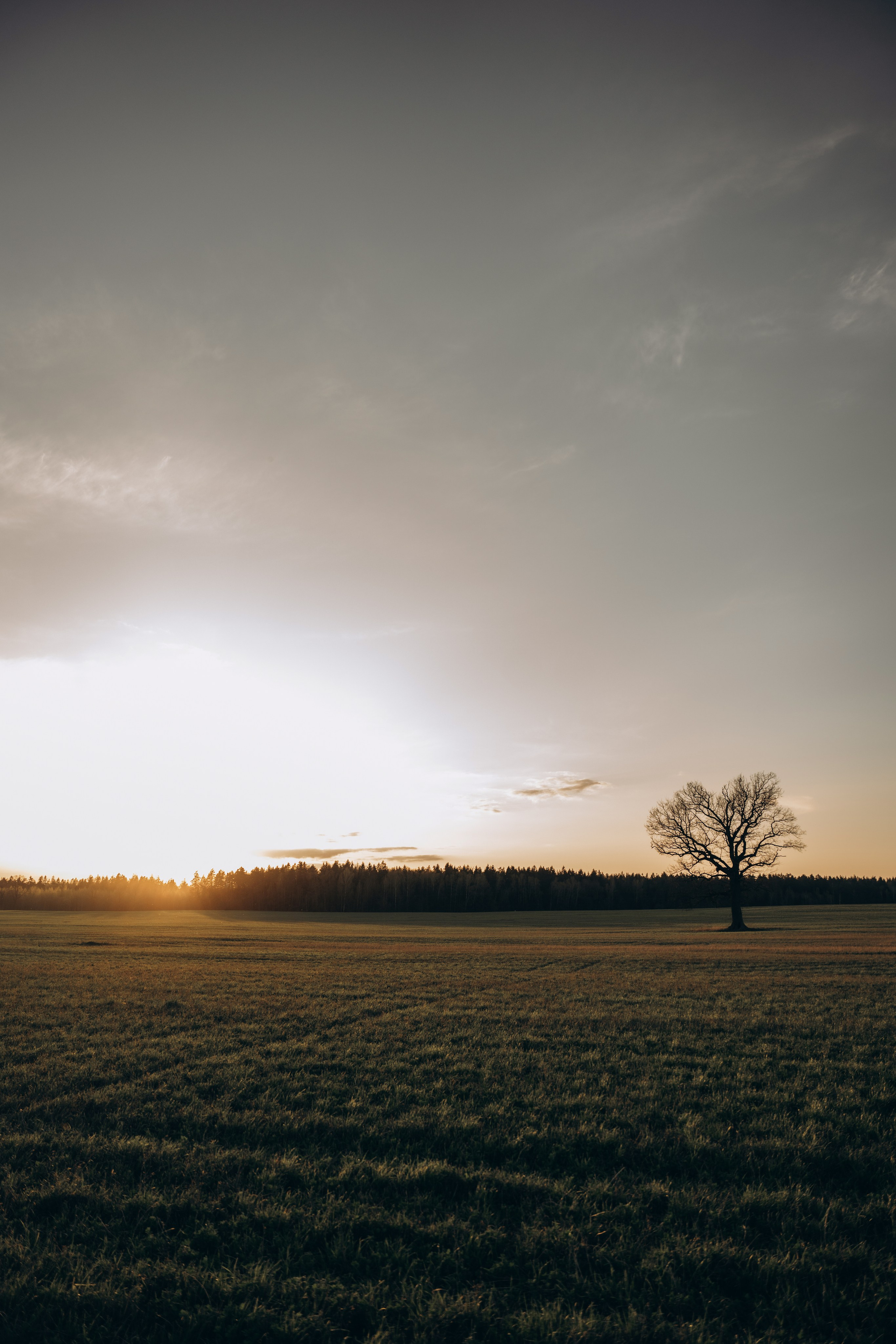 Аня, Матвей и Эбби. Фотограф Мария Миллс | Минск