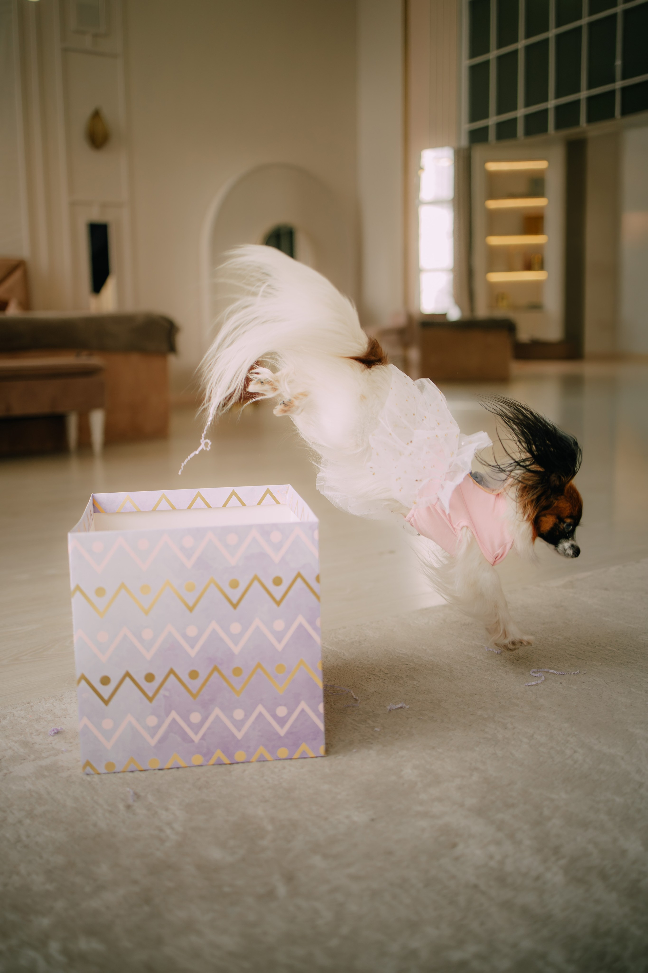 Султан, Мэй Мэй и Шанталь и их семья