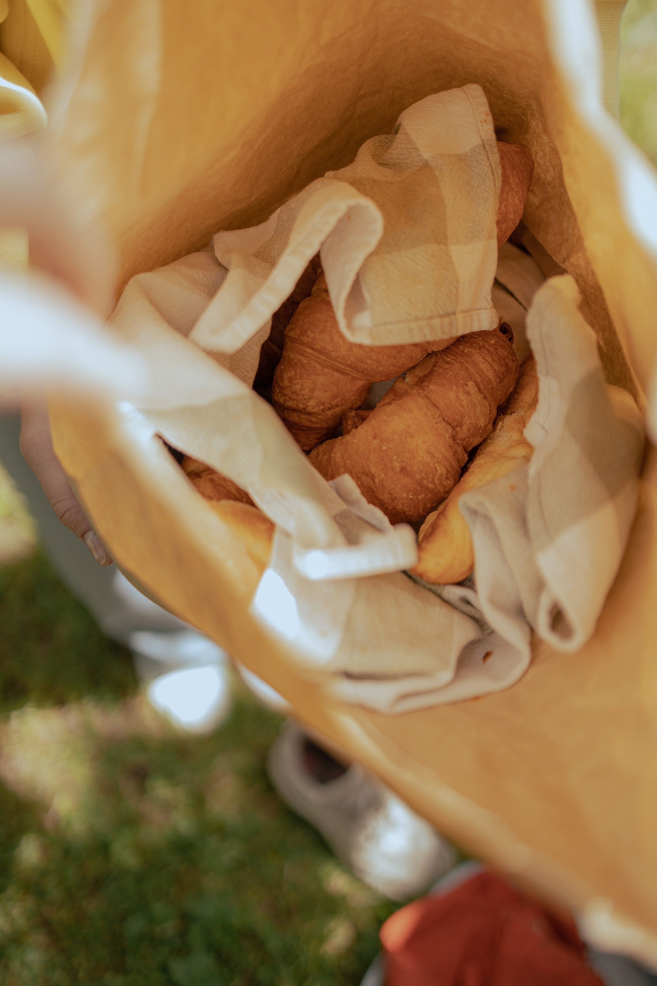 Мк Акварель (рисунки на камнях). Анастасия Ракчеева Художник