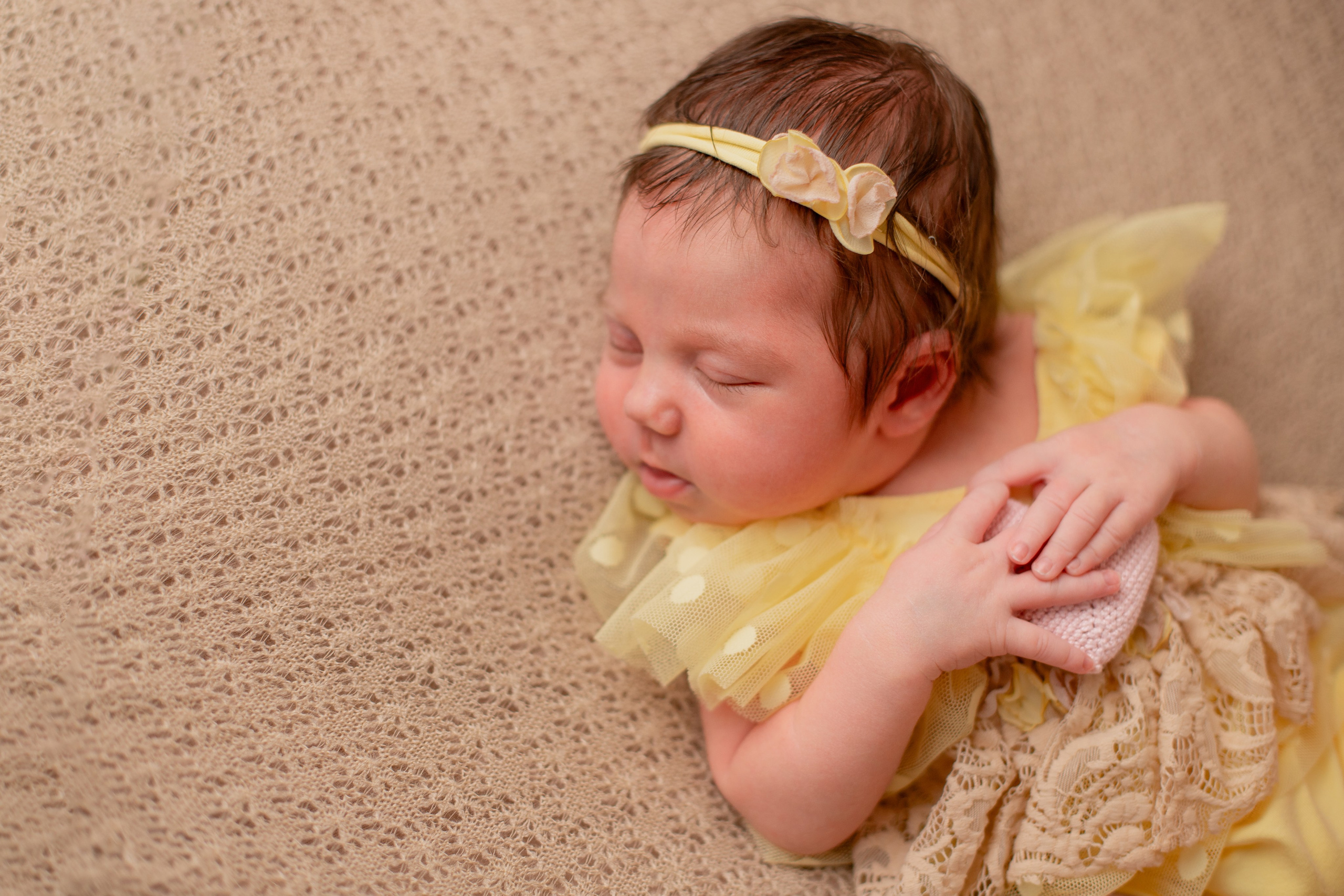 Фотограф в Северском районе| г. Краснодар Алена Заливчая