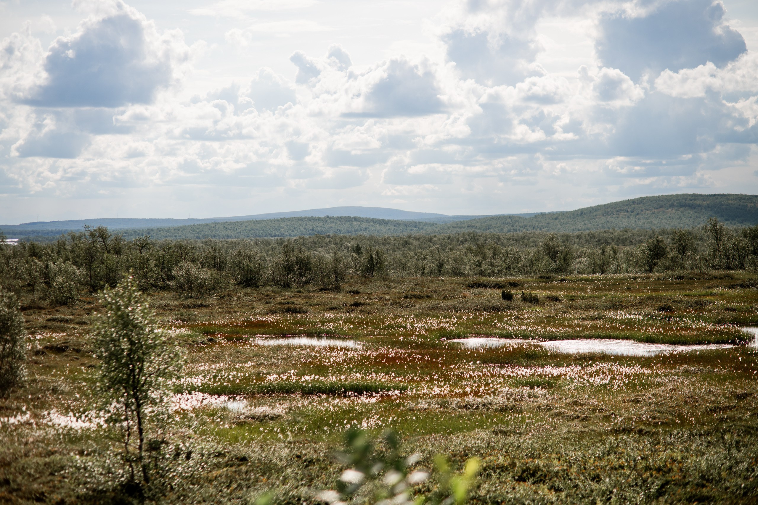 Мурманск. Фотограф Сергей Красильников