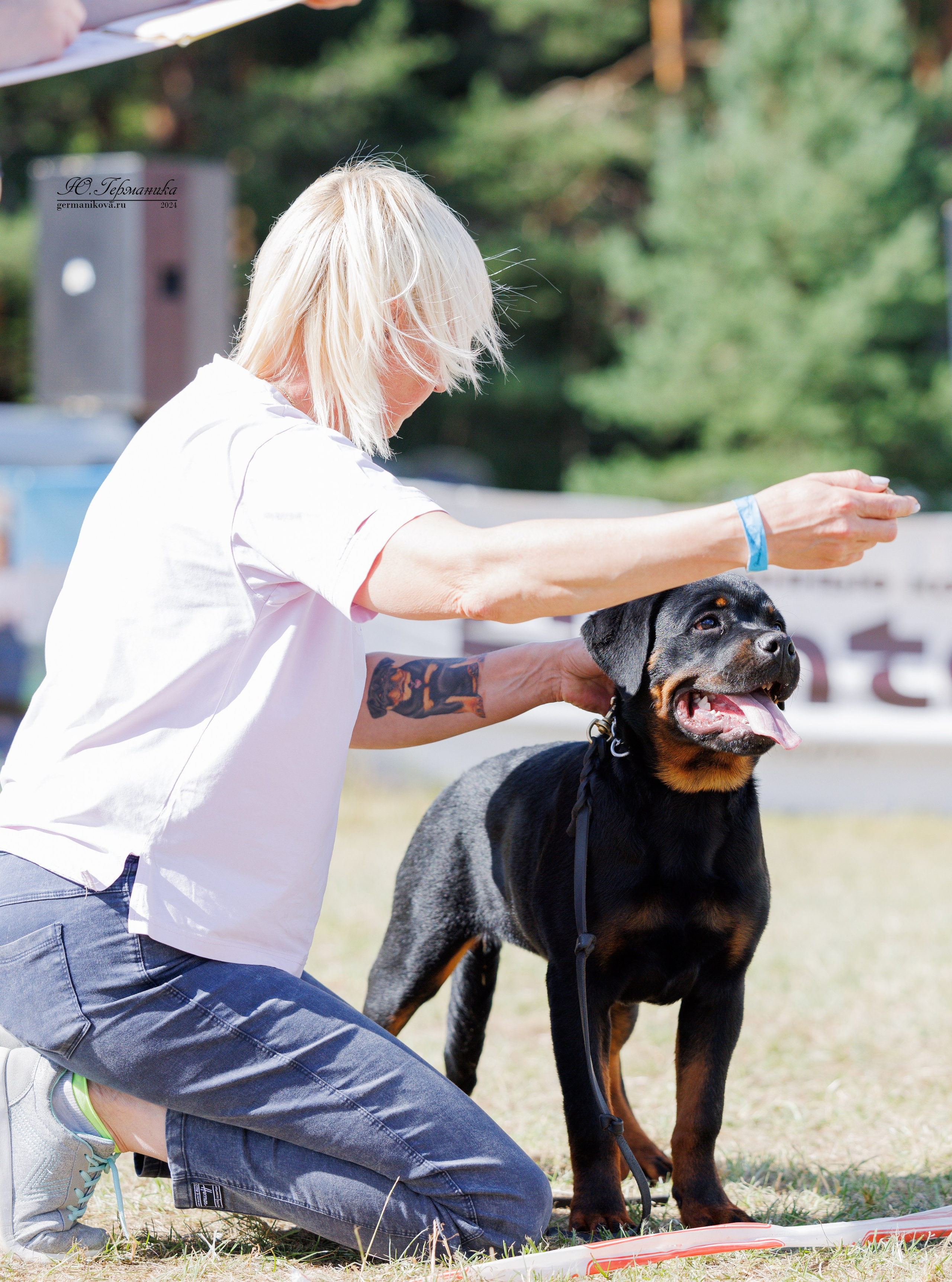 ПК и КЧК ротвейлеры Тверь 6-7.07.2024. Фотограф-анималист Юлия Германика