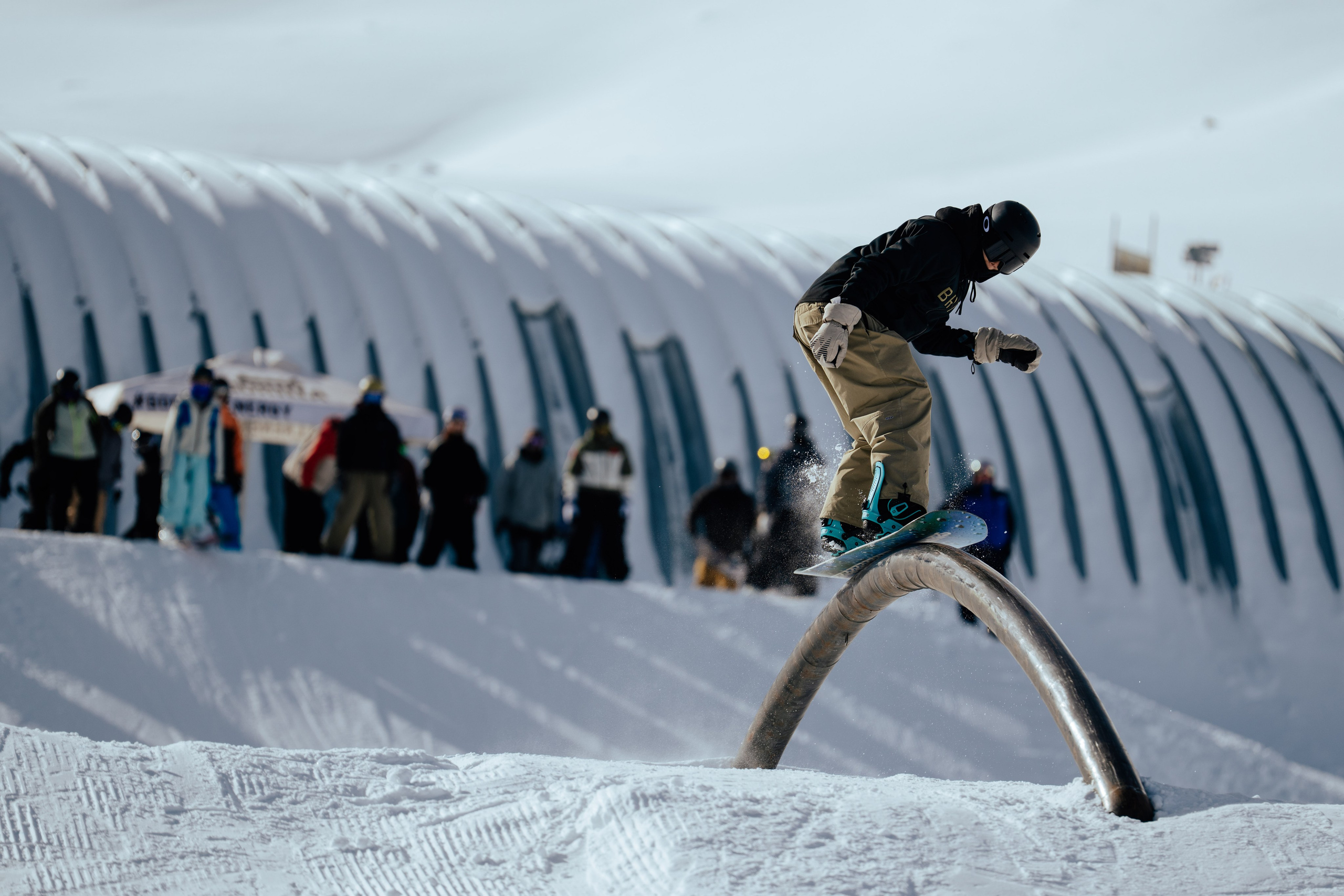 Imba Park Nut Contest 24.01.2026. Gorillaenergymedia