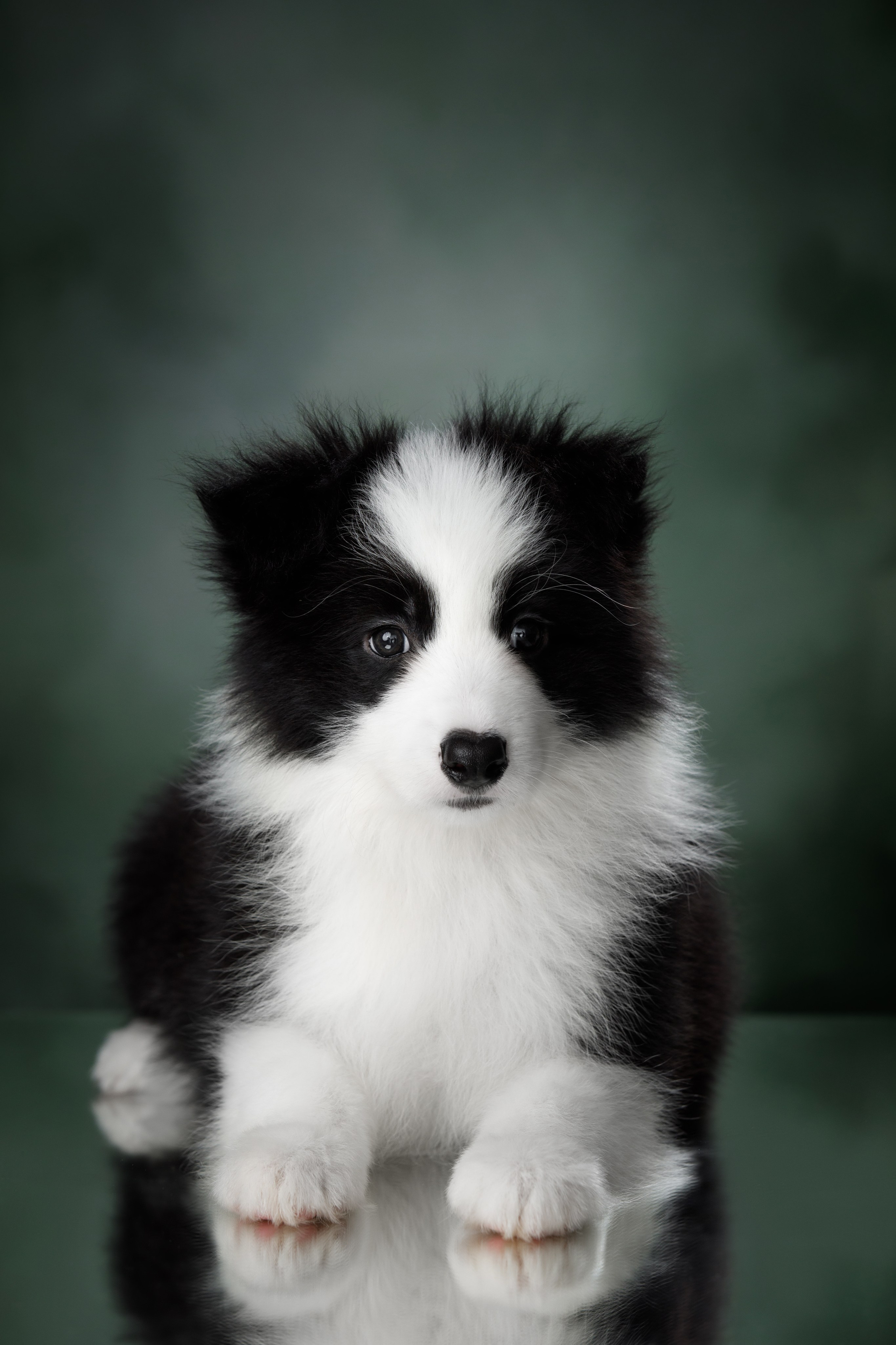 Март. Весна. 22. О нас