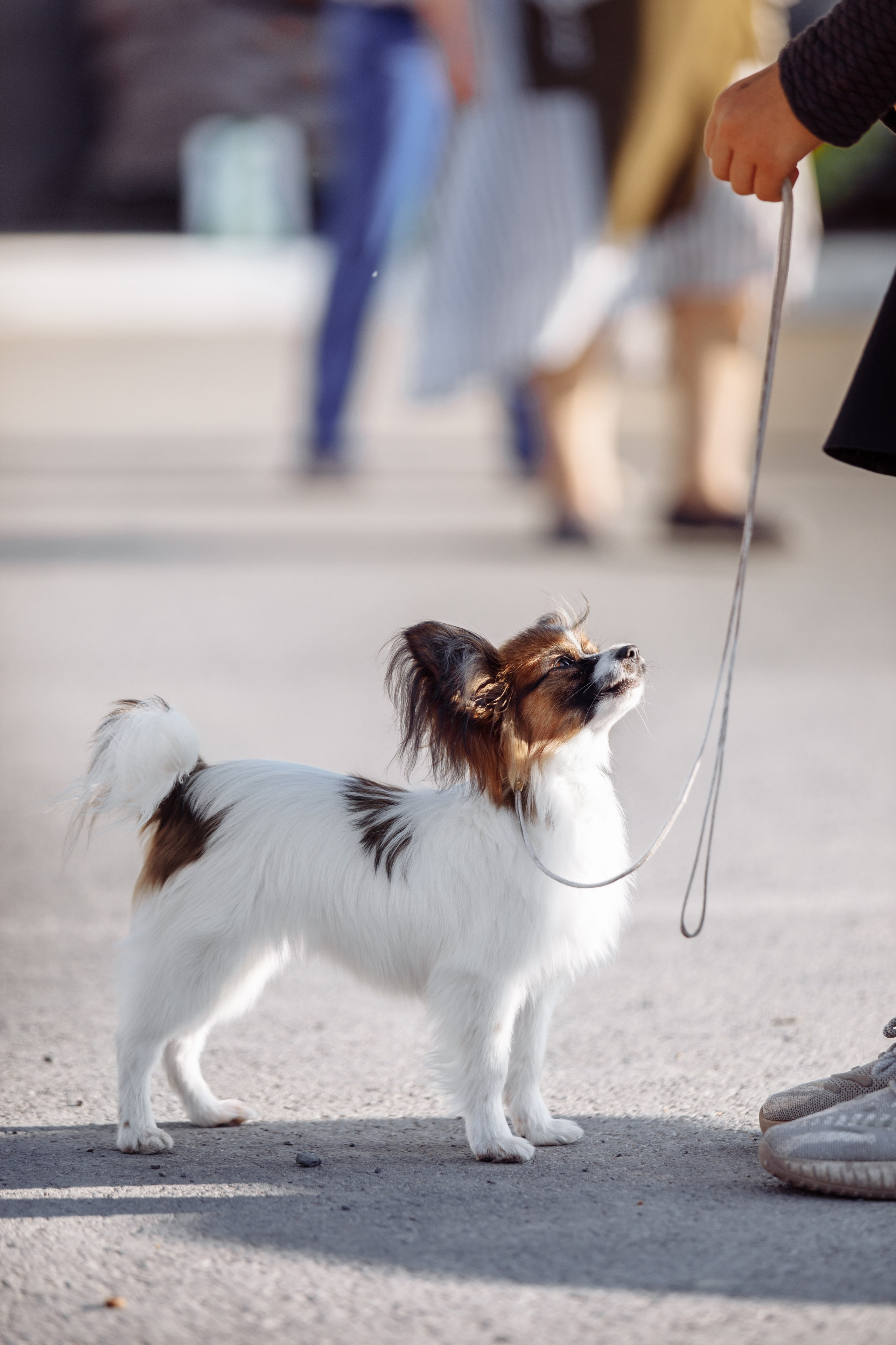 Оренбург с моно 22. О нас