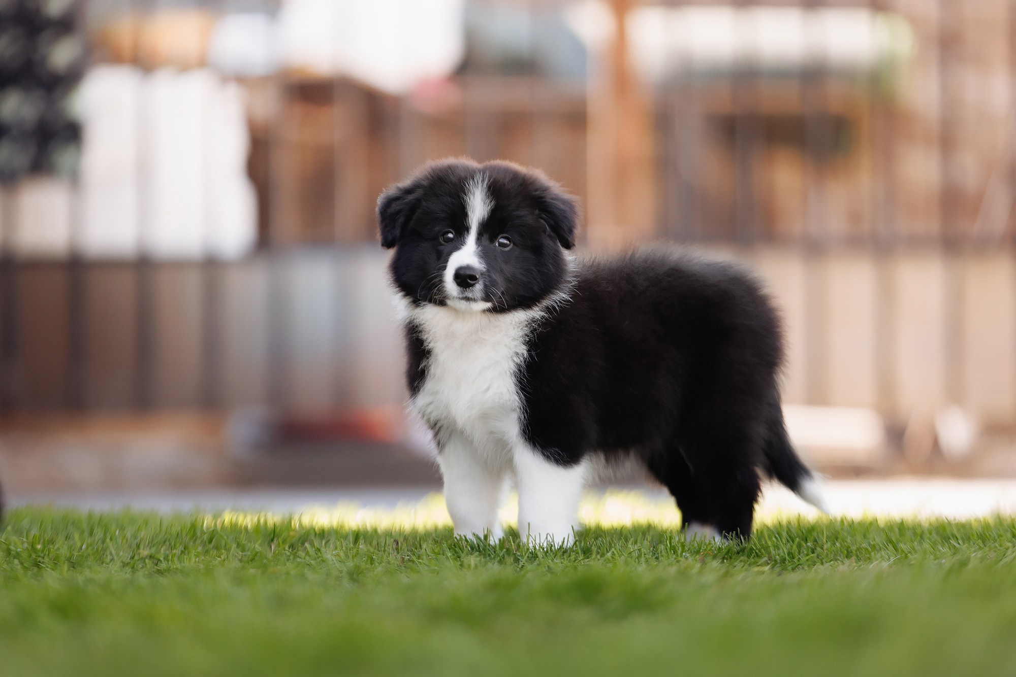 Трава у дома. О нас