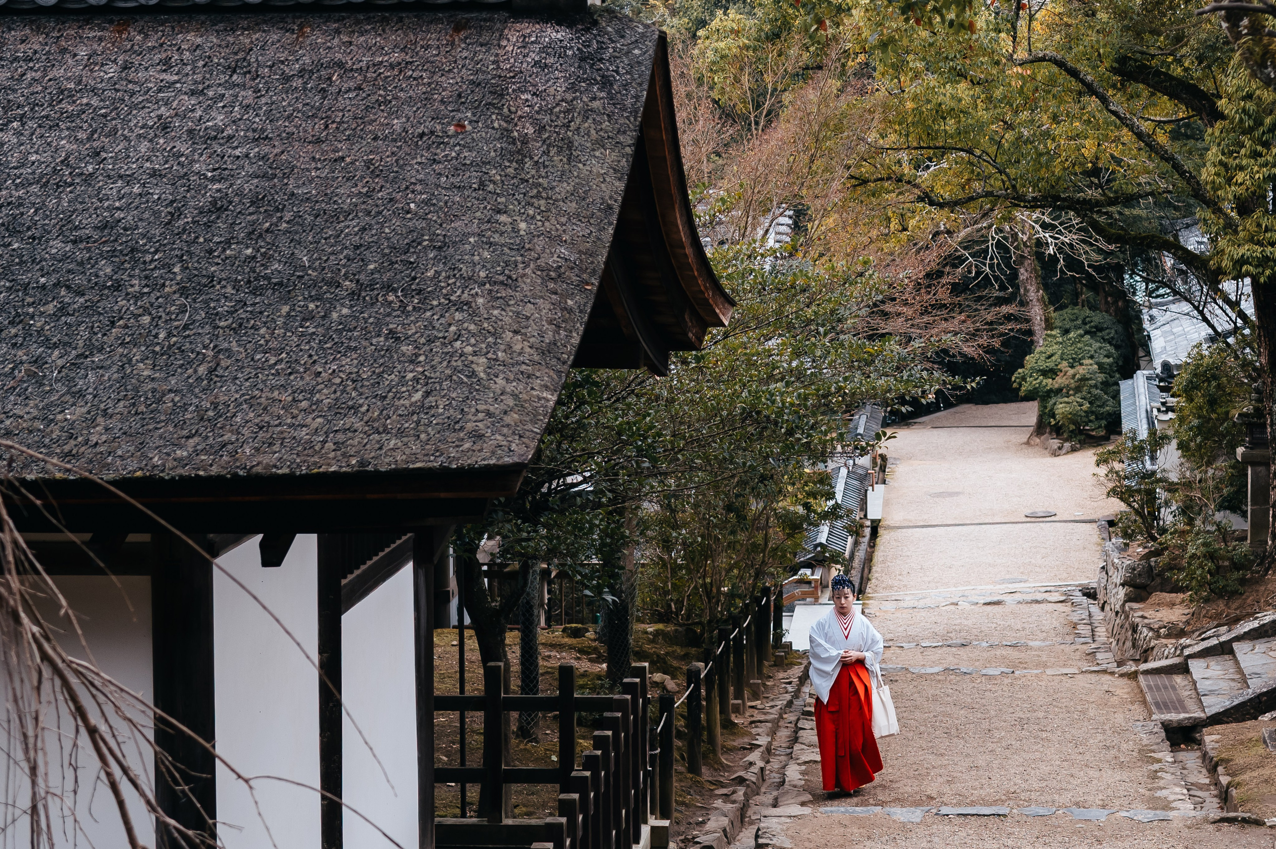 Japan/Япония. @tomrus: Рустам Шагиморданов — фотограф