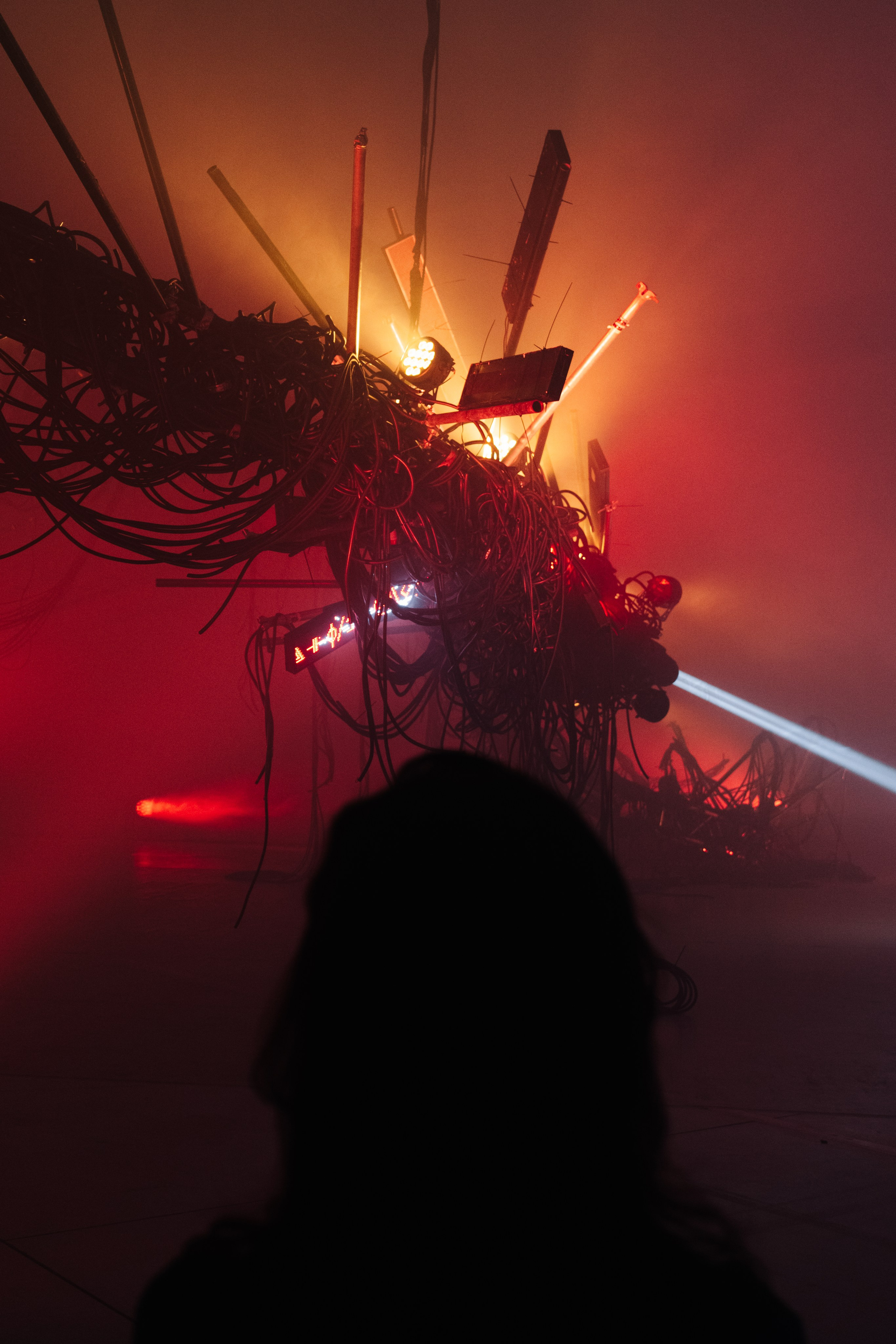 PERFORMA, The Hour of the Horse. @tomrus: Рустам Шагиморданов — фотограф