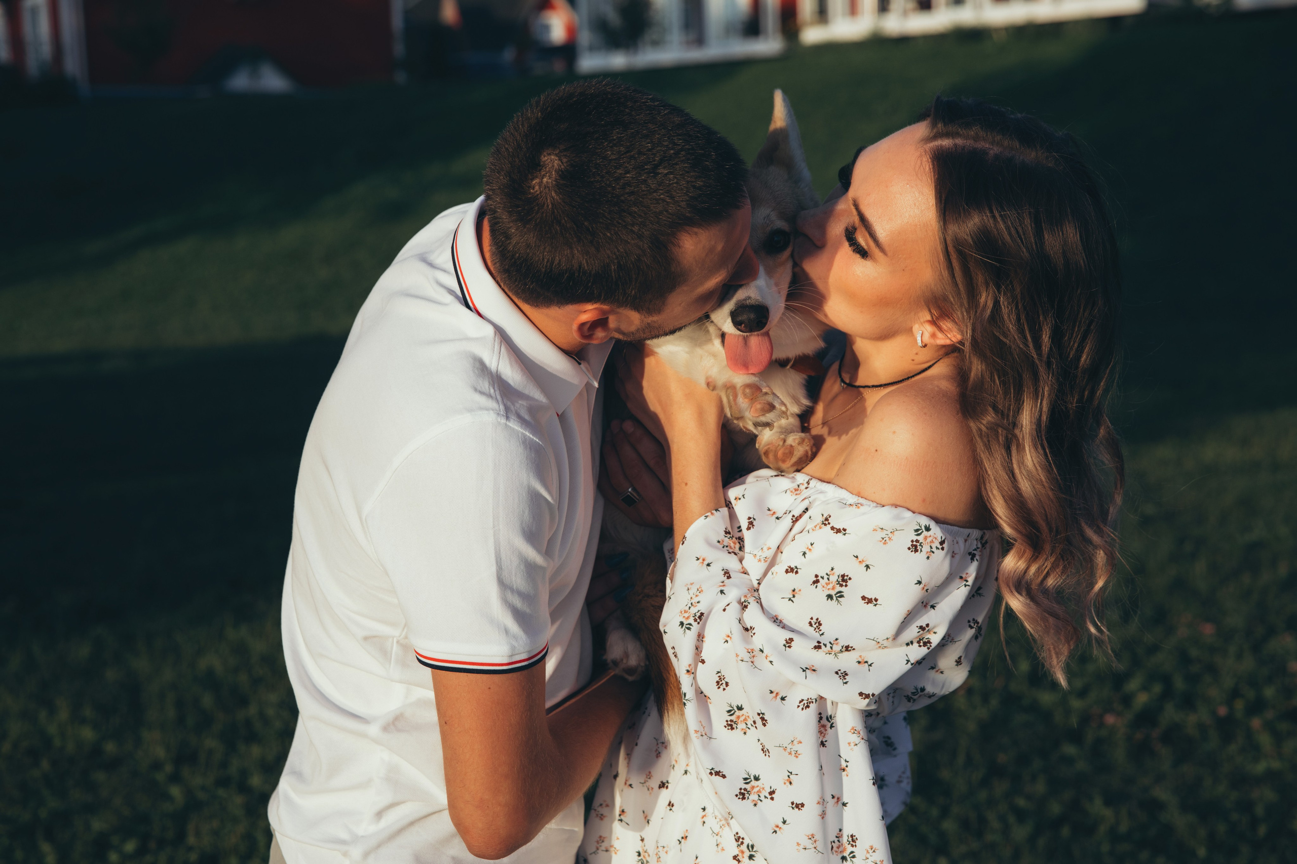 4 лапы, 2 пары ног и одно сердечко на троих ❤. Фотограф Анастасия Романова Рязань