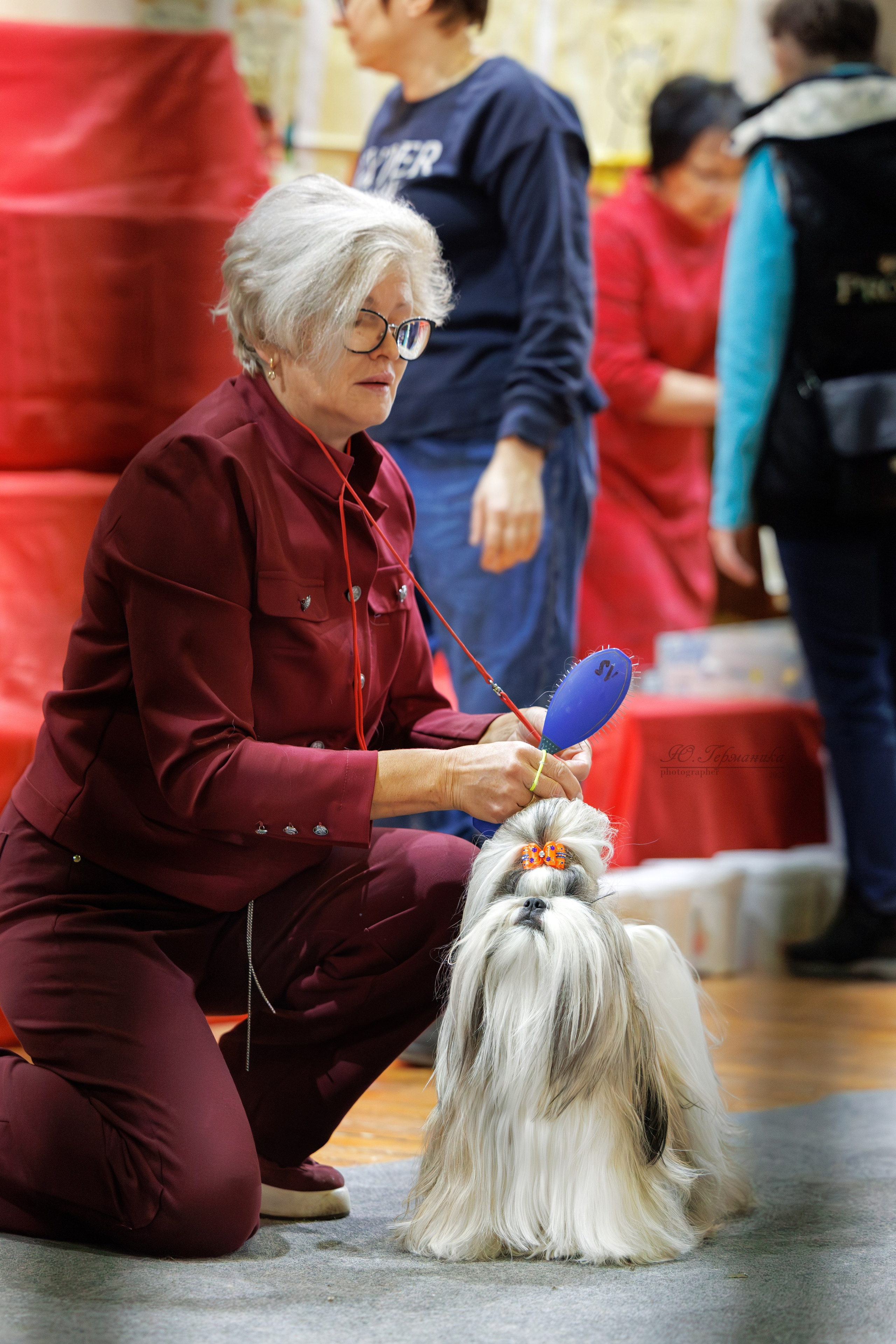 Тверь 21.12.2025. Фотограф-анималист Юлия Германика