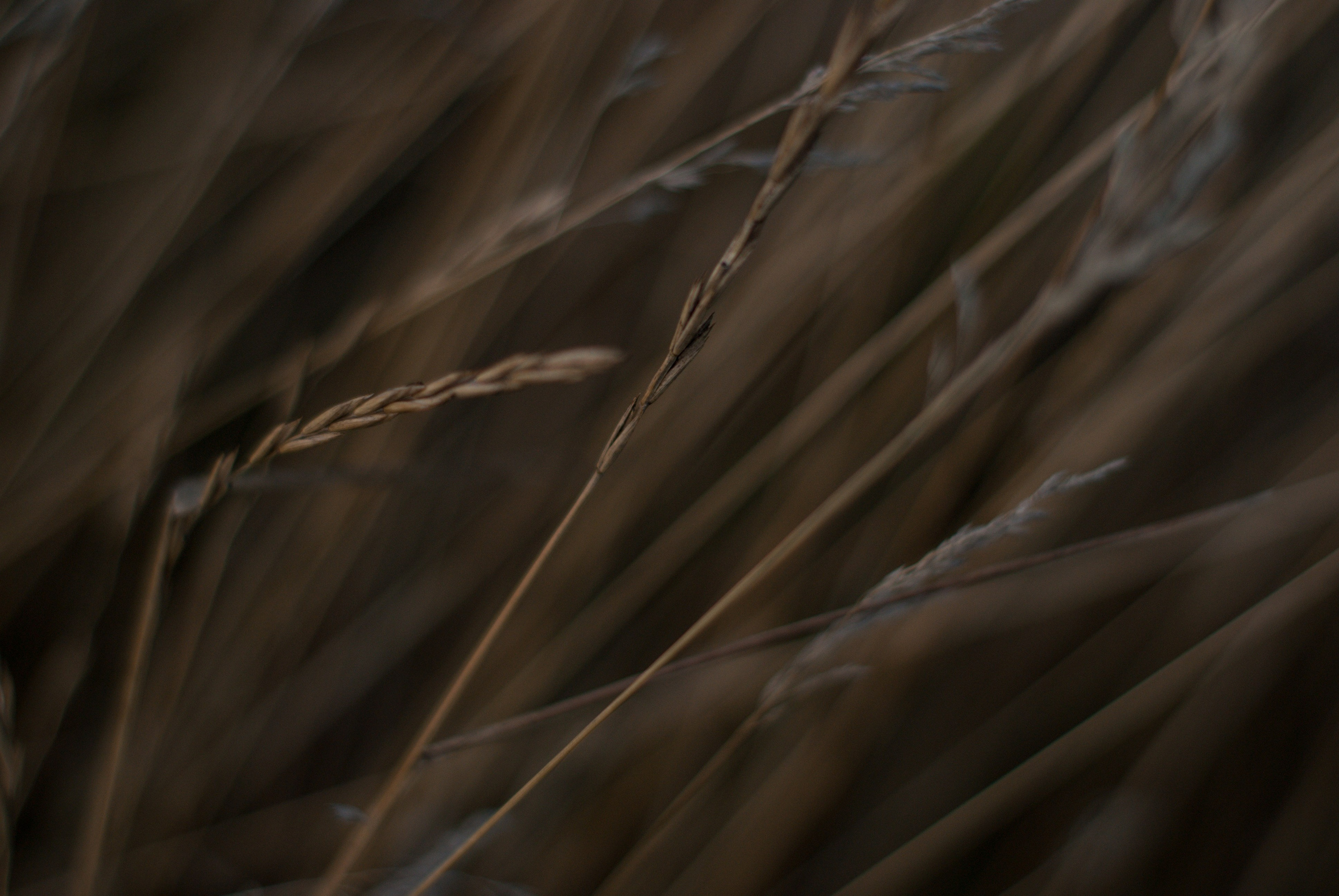 Этот прекрасный мир