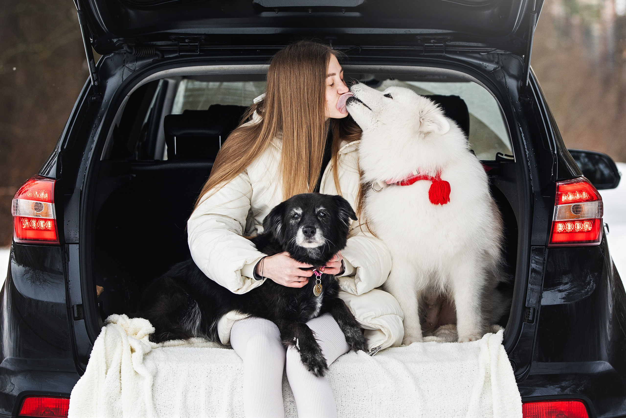 Валя, Варя и Лада. Фотограф анималист в Москве Майорова Евгения