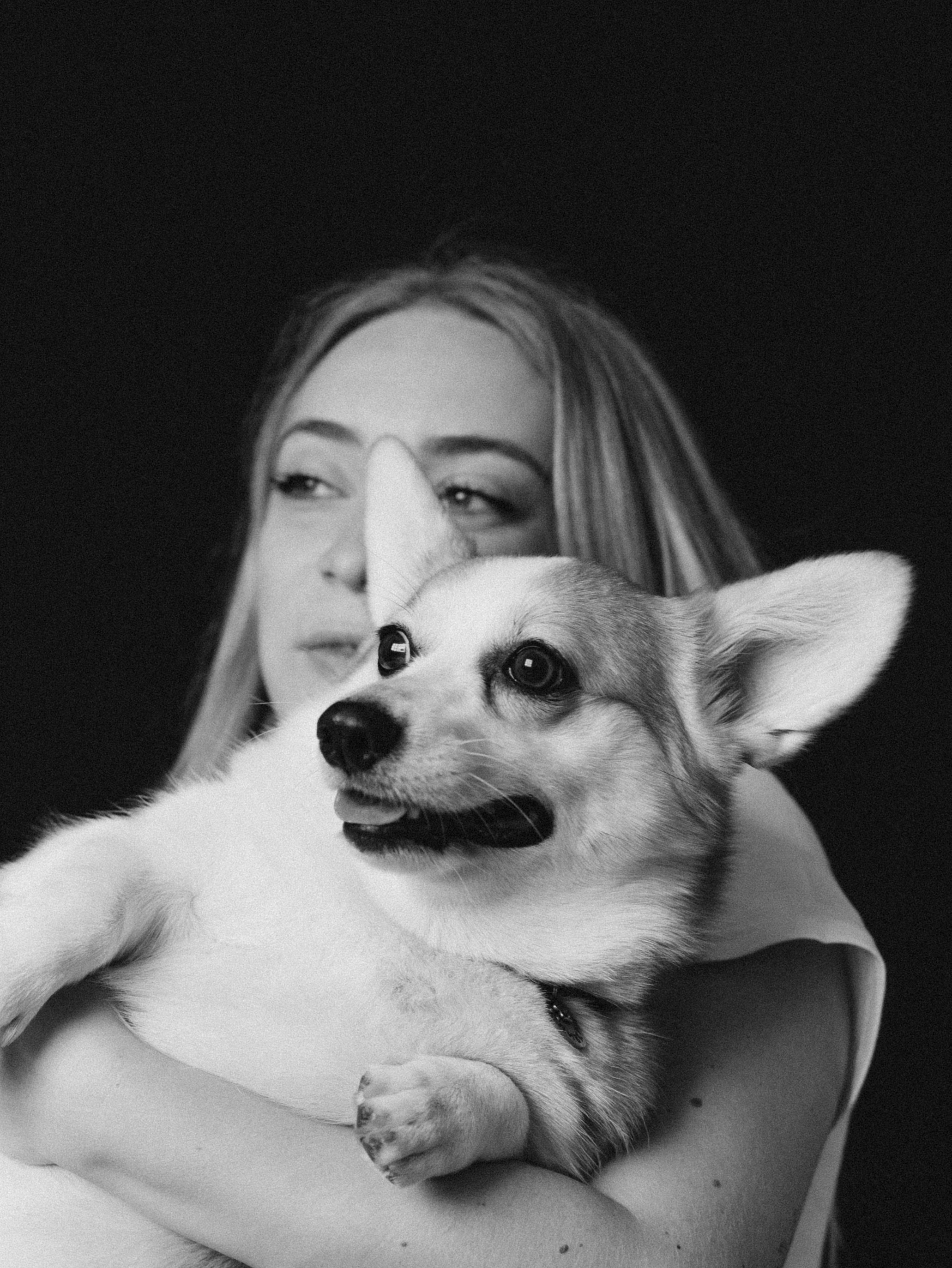 Оливка и Ника. Фотограф-анималист в Москве Кириллова Татьяна