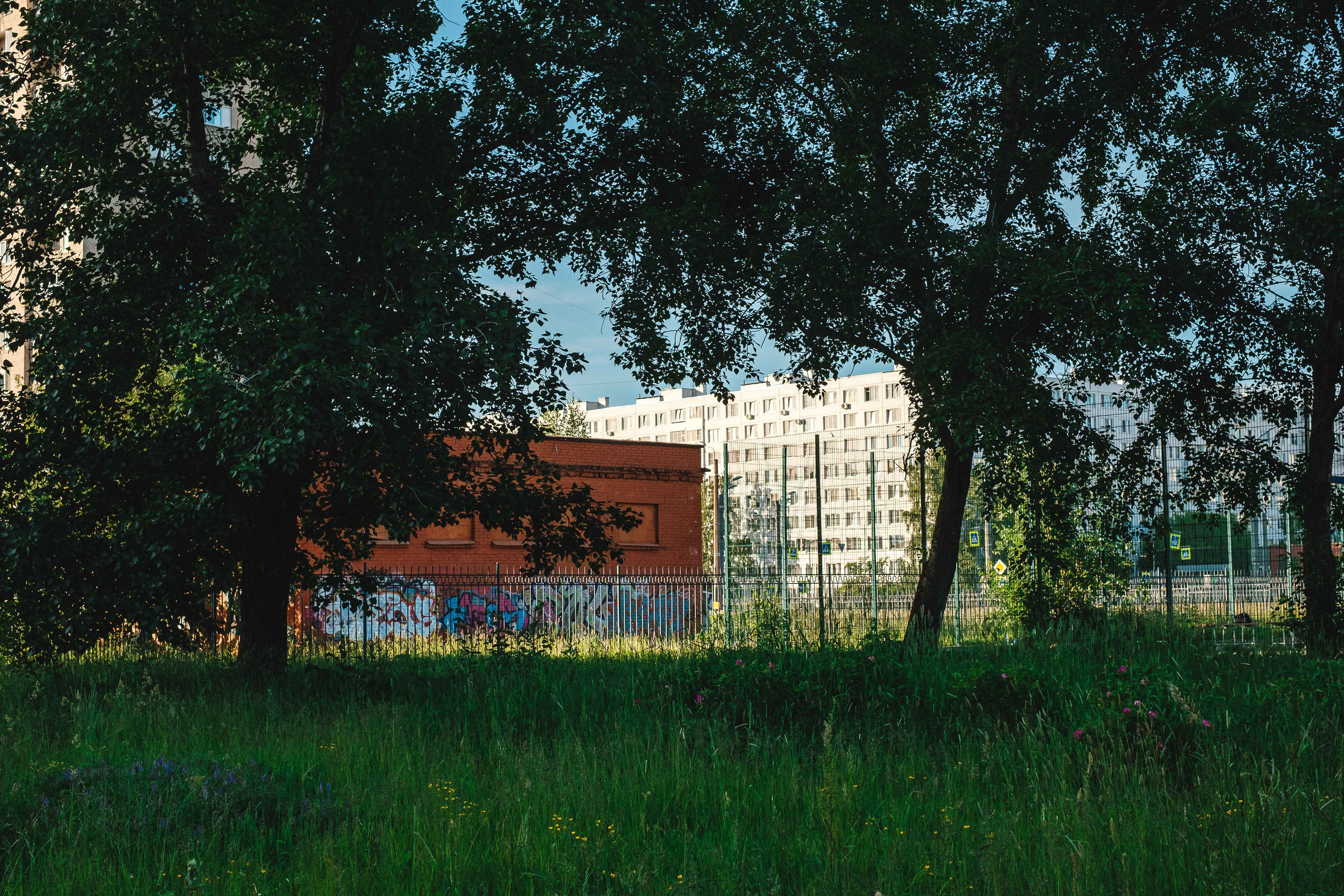 2022.06. Фотограф Алексей Алексеев