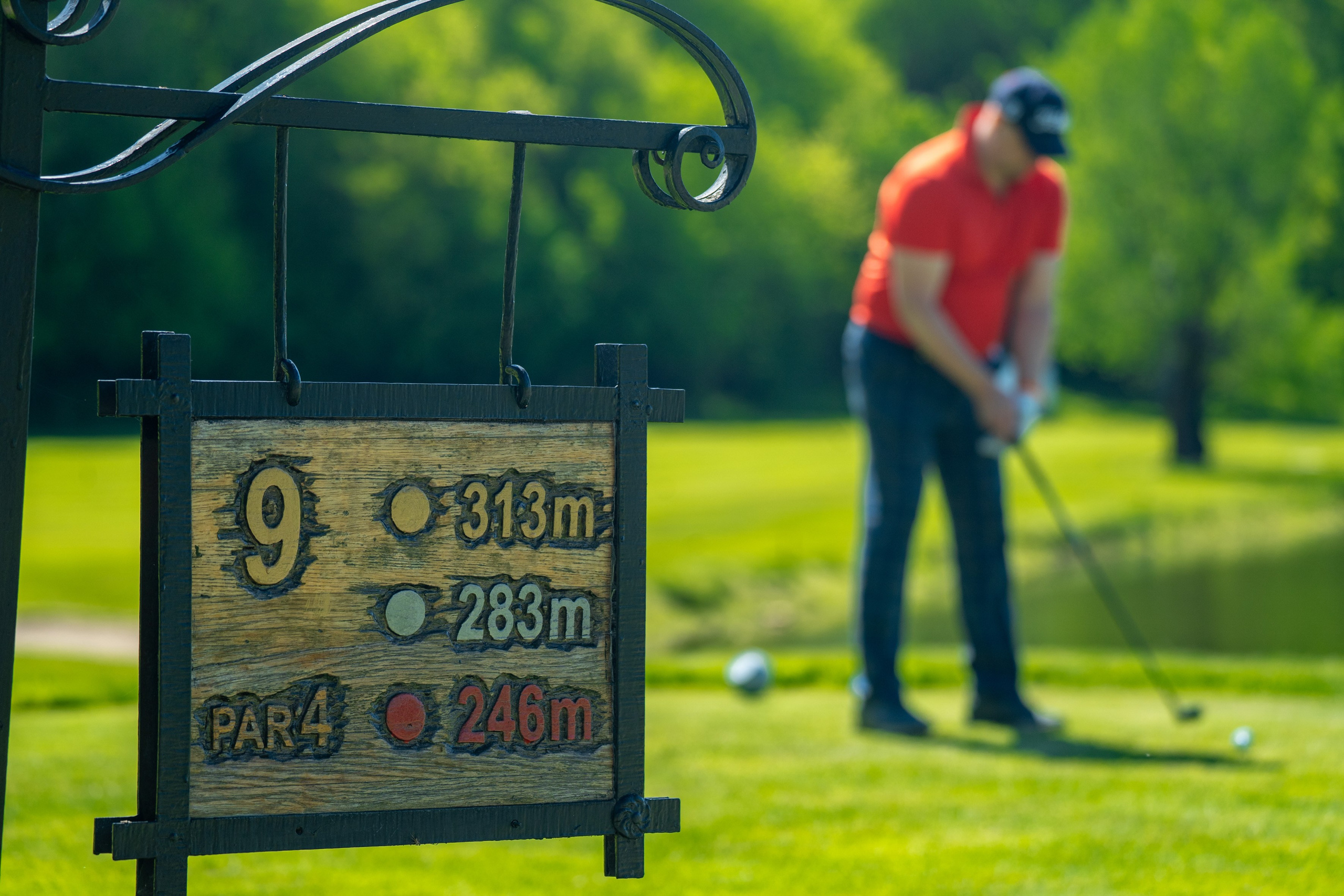 Гольф. Фотограф-видеограф Александр Корнев