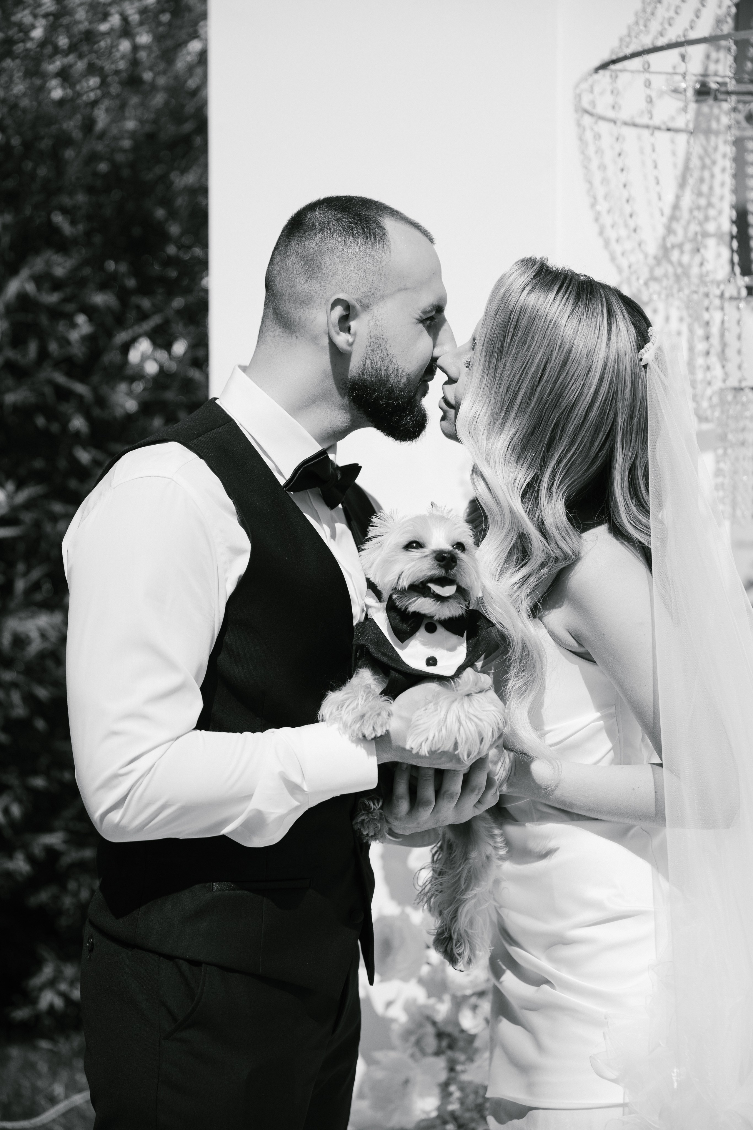 Christina & Anton. Свадебный фотограф в Барнауле Юлия Гербер