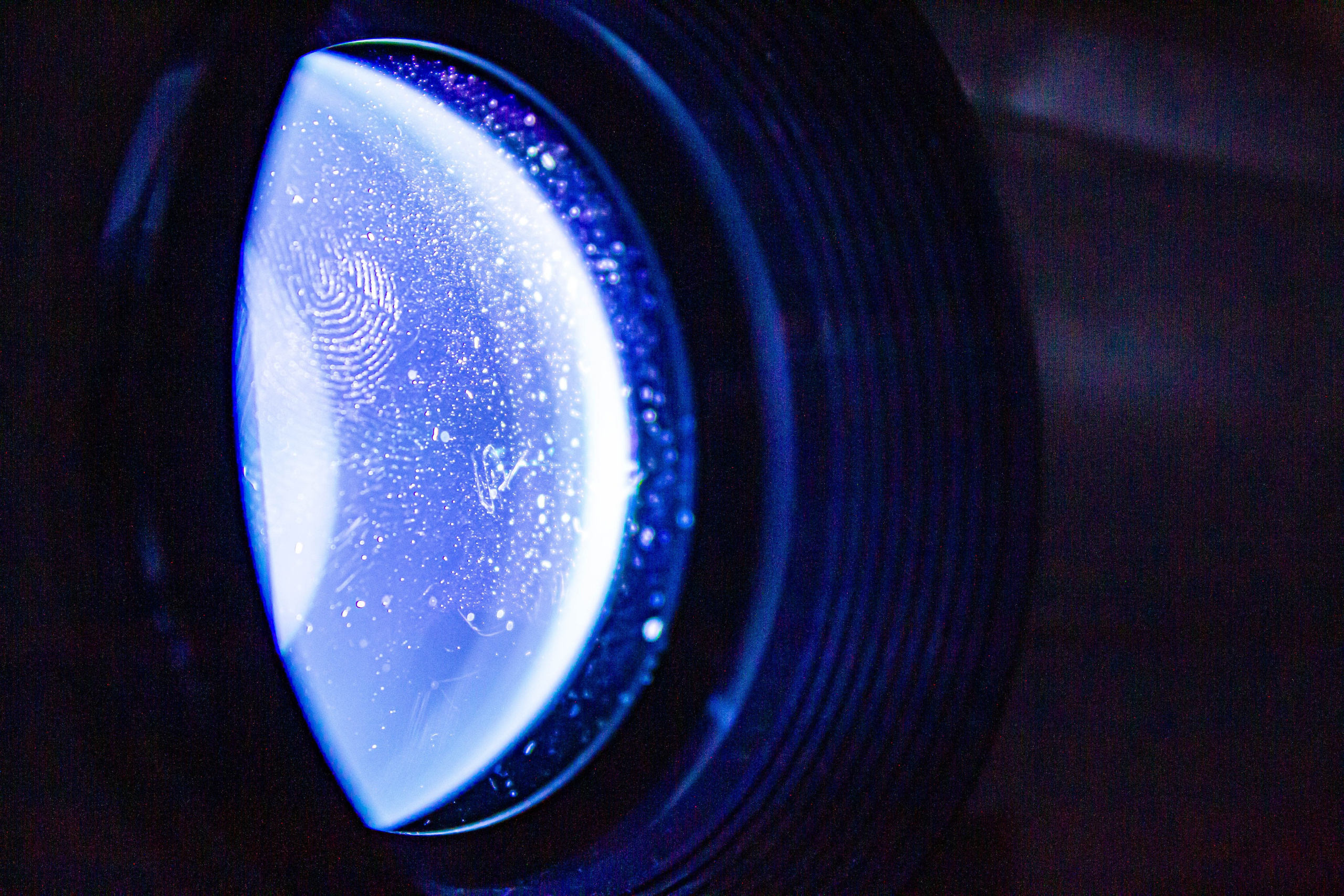 НЕ ТЕМНО_ЛИЦЕЙ им. С. П. ДЯГИЛЕВА 2025