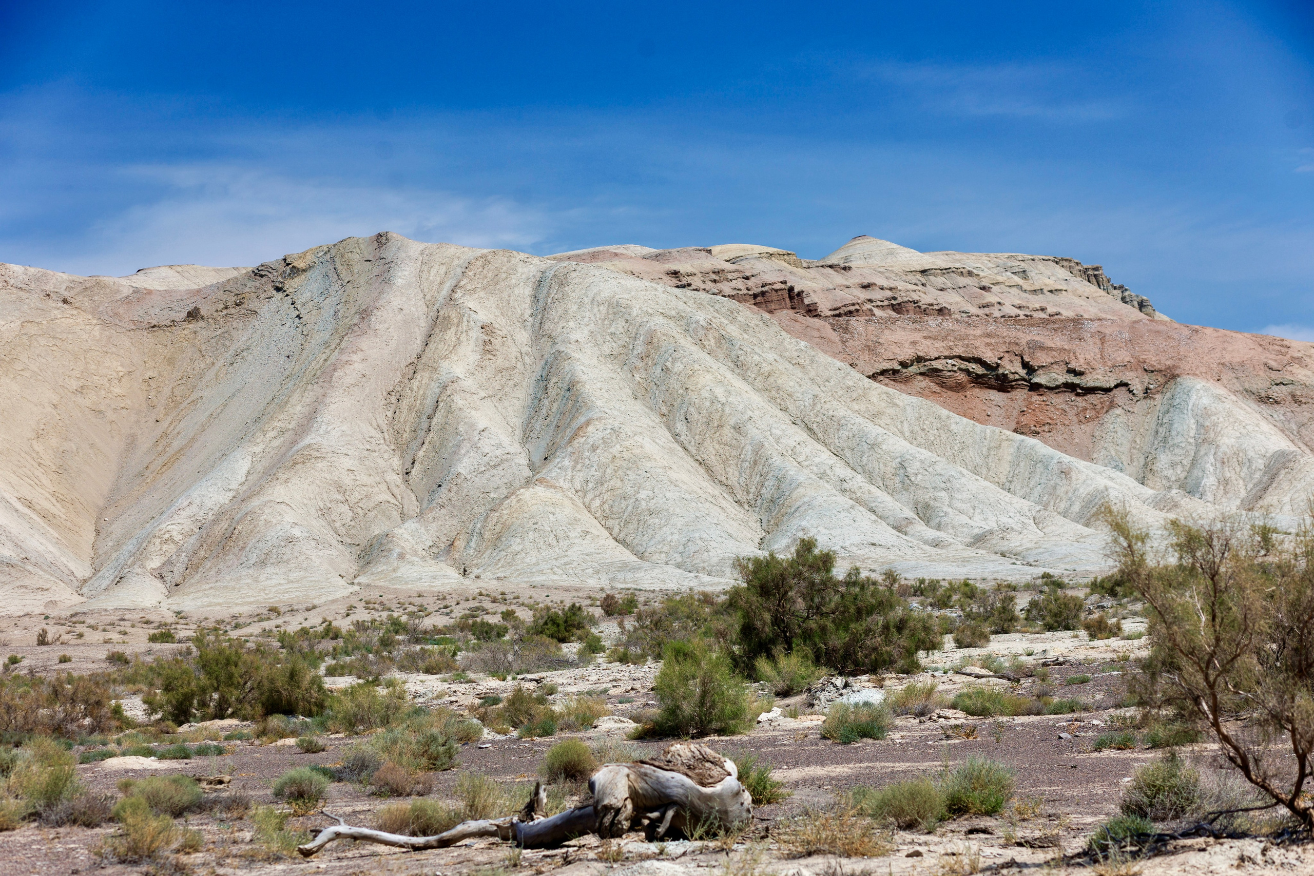 Алтын Эмель. Экскурсии и туры по Алматы