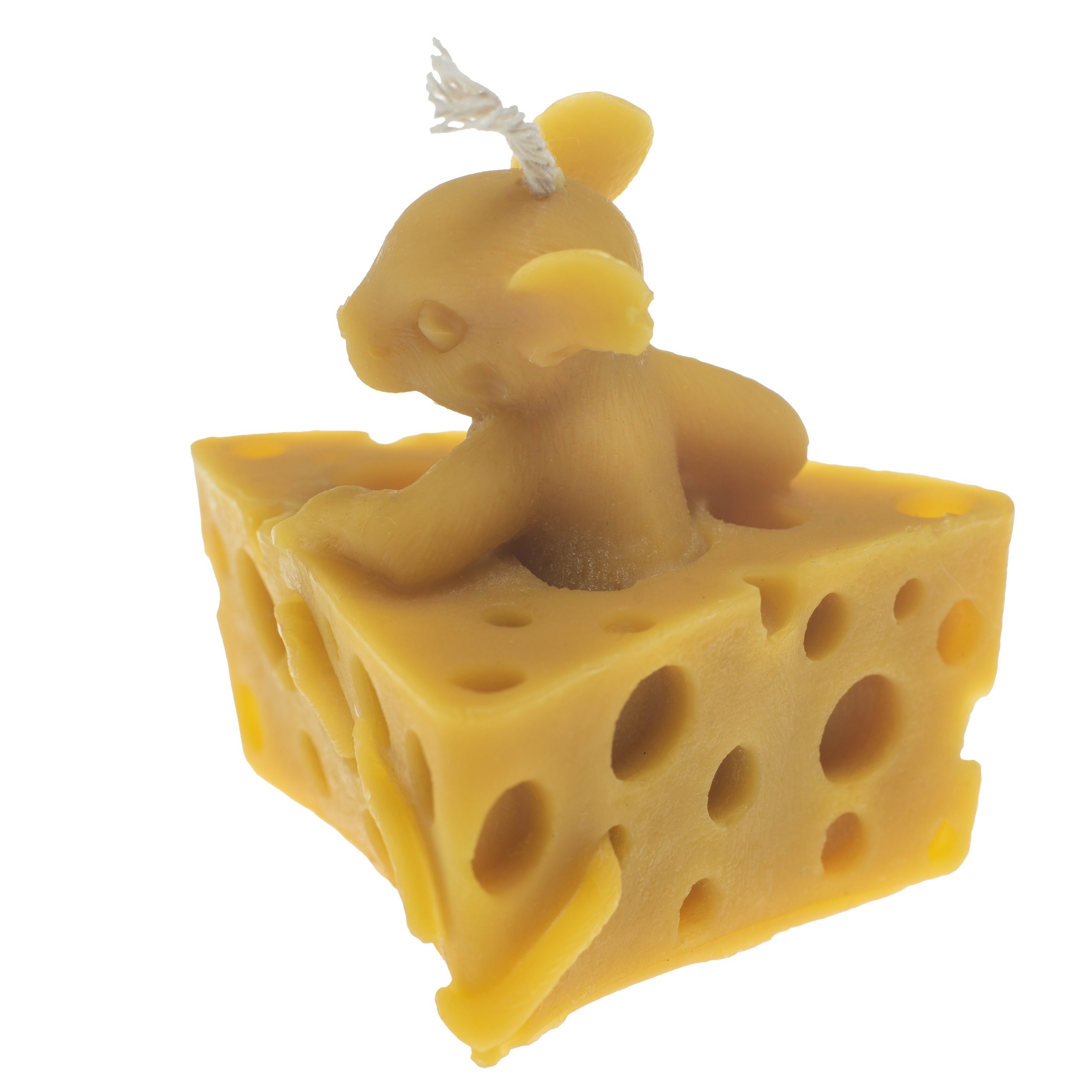 Изоляты. Фотограф в Москве Дмитровская Дарья