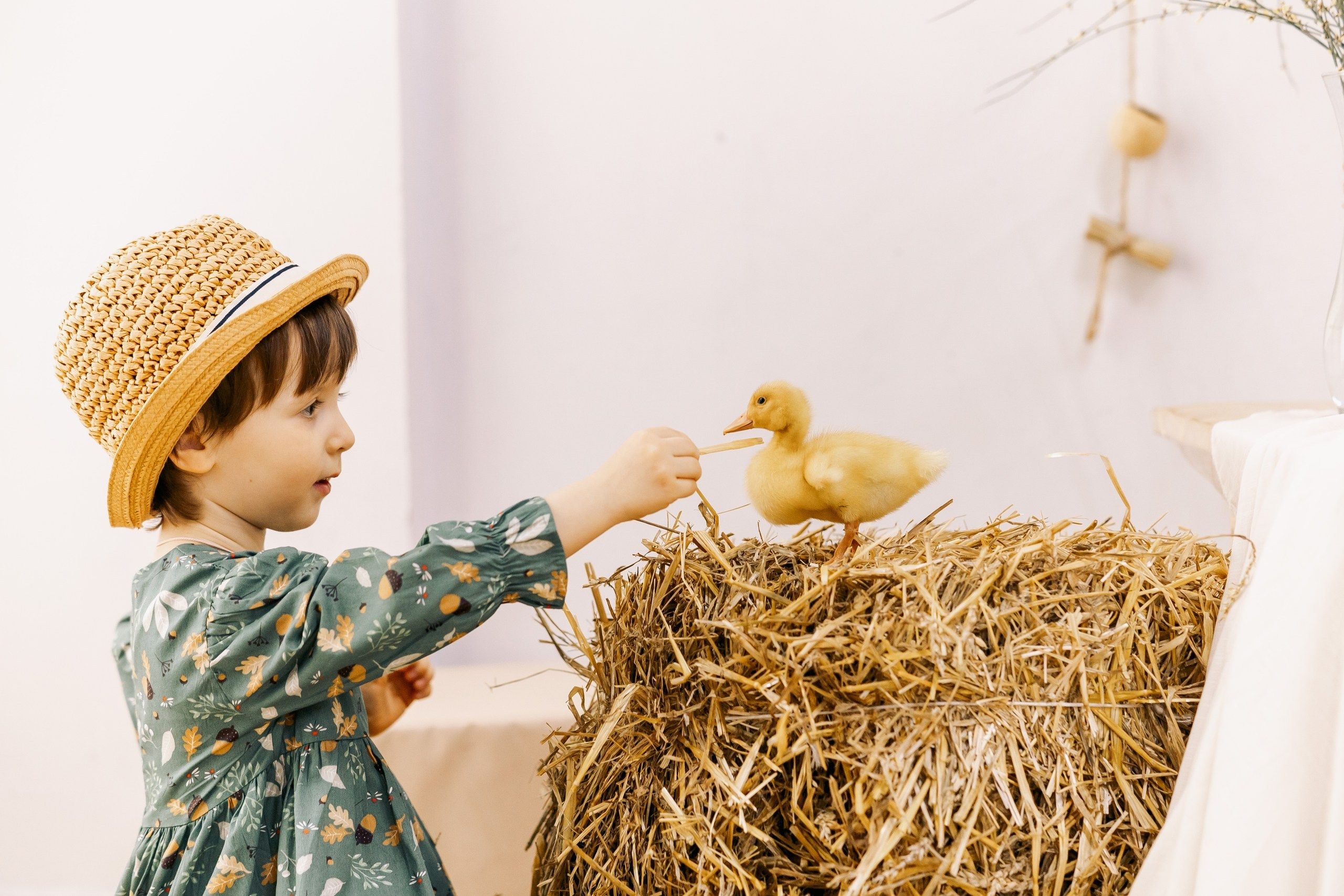 Фотодень утята. Семейный Фотограф в Москве Евгения Симоненко