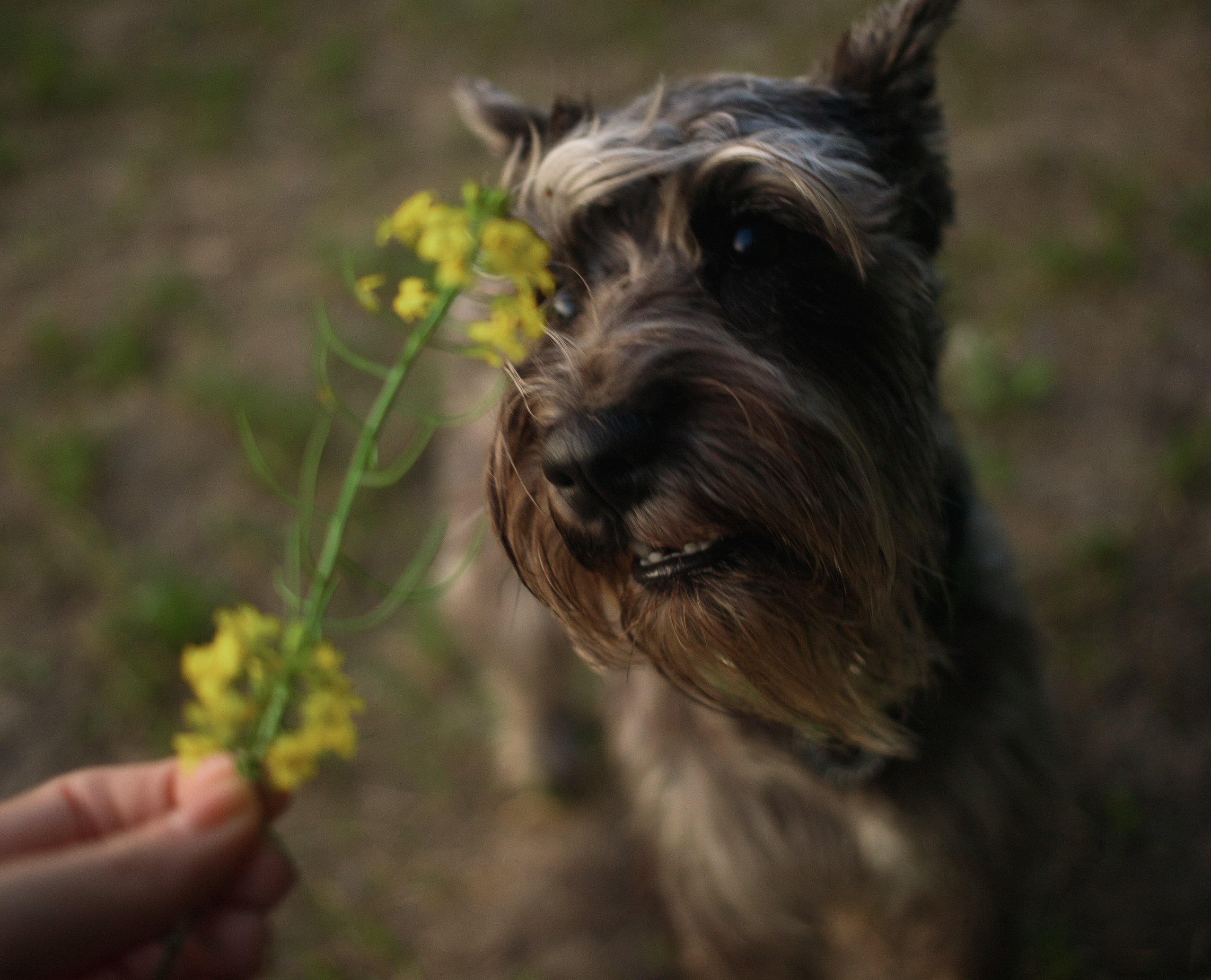 Ольга Ро и Иви. Портретный фотограф в Санкт-Петербурге Катя Протасевич