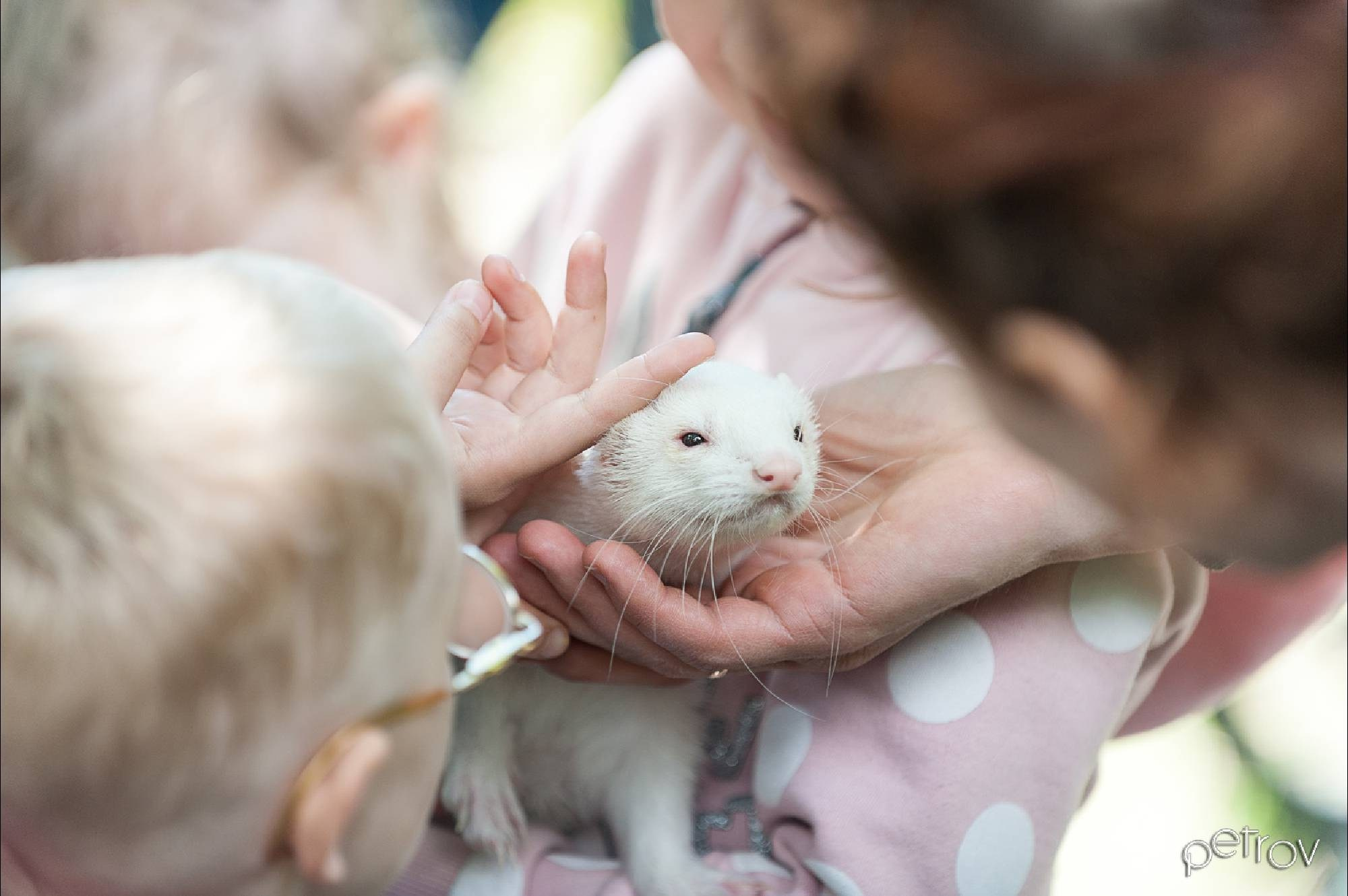 Детская фотография. Фотограф Дмитрий Петров
