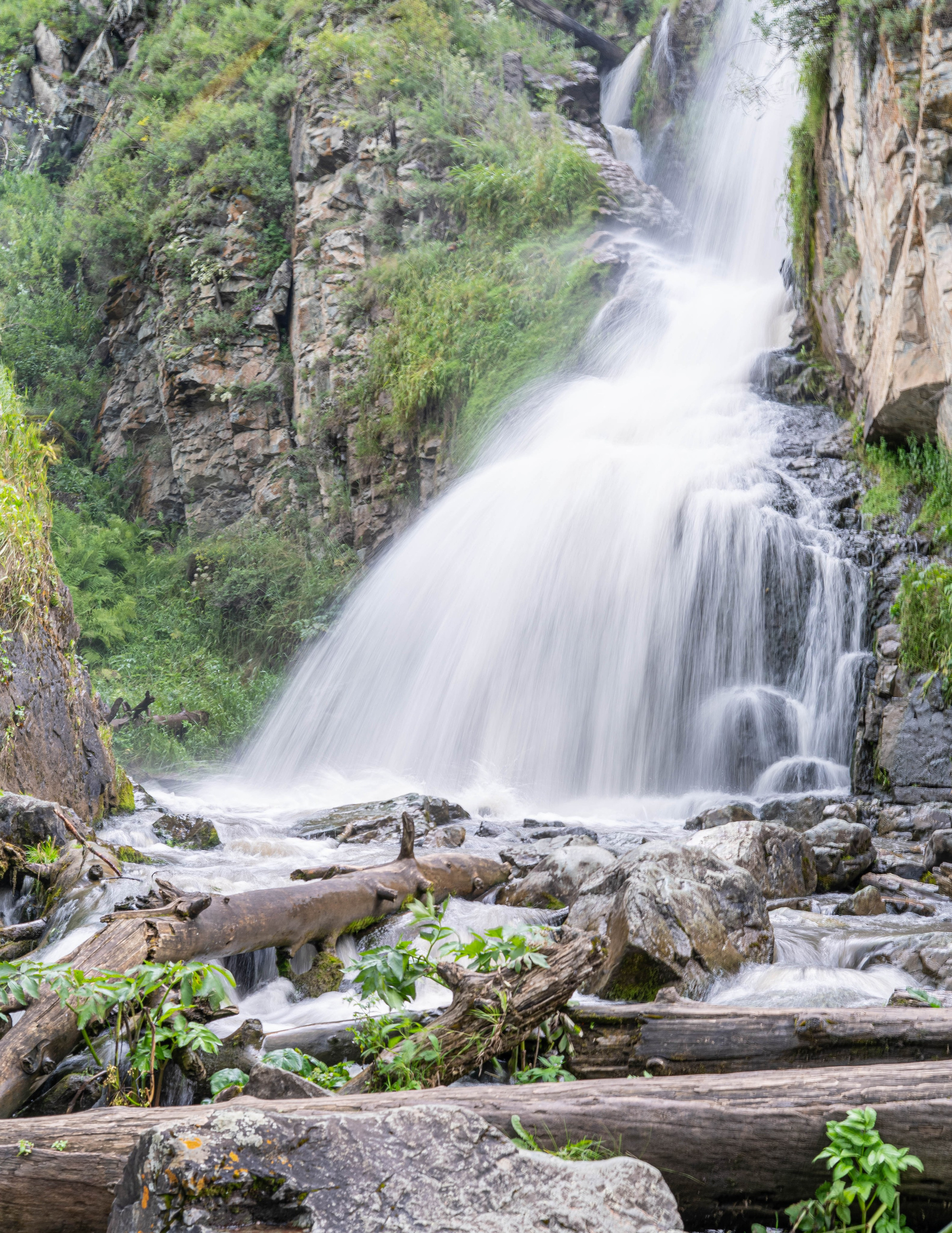 Фотосессия на природе Новосибирск Краснообск