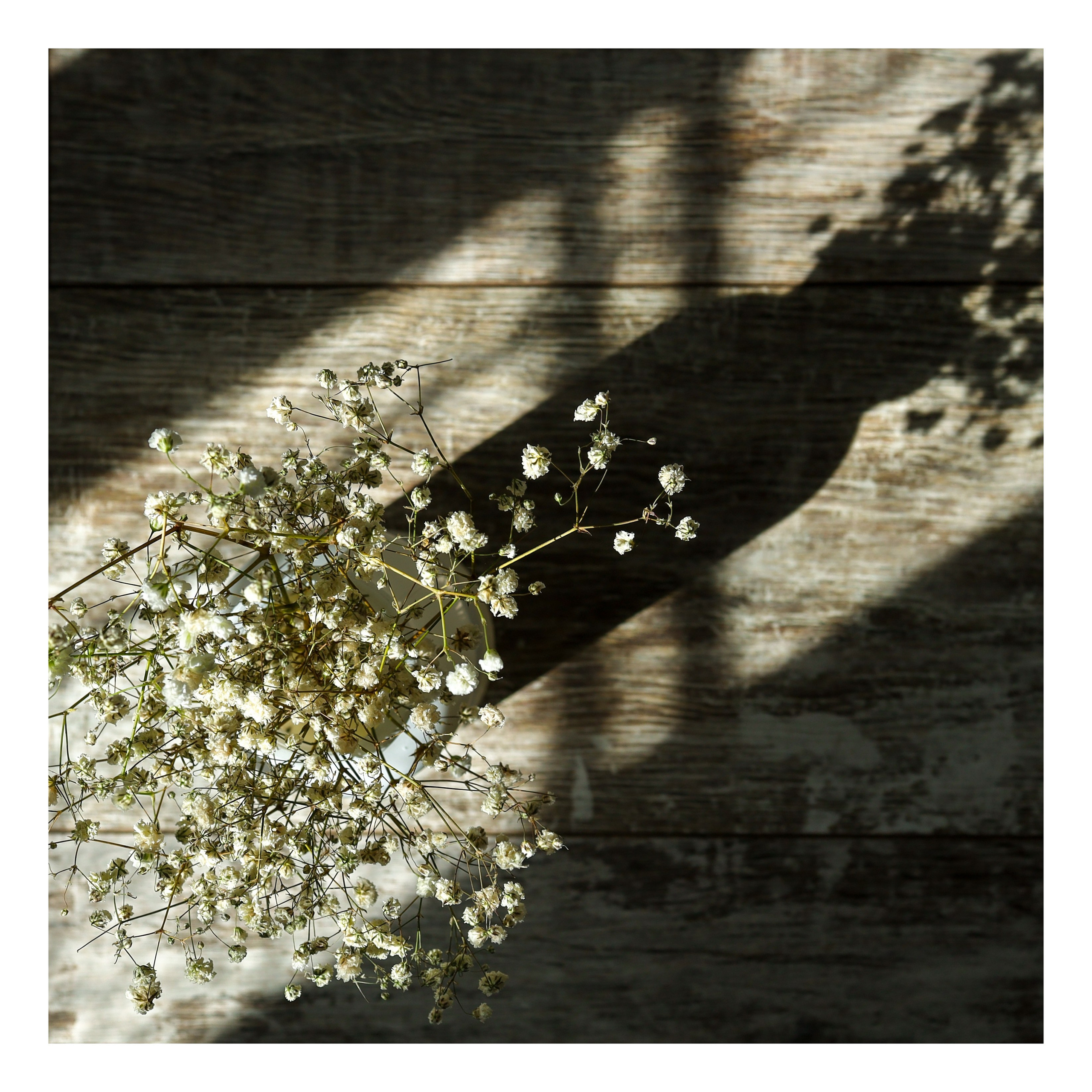 Природа &. Фотохудожник в СПб