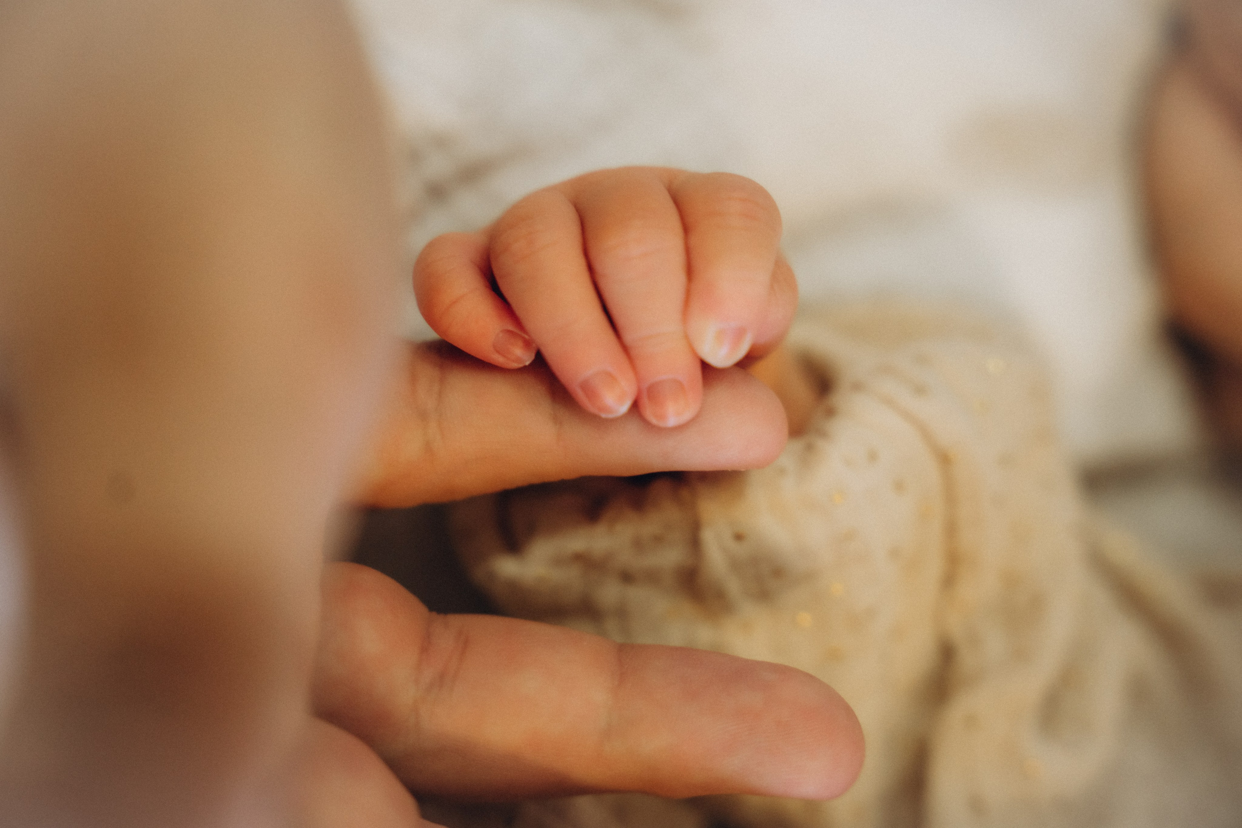 Вика и Дима. Аплас Анастасия