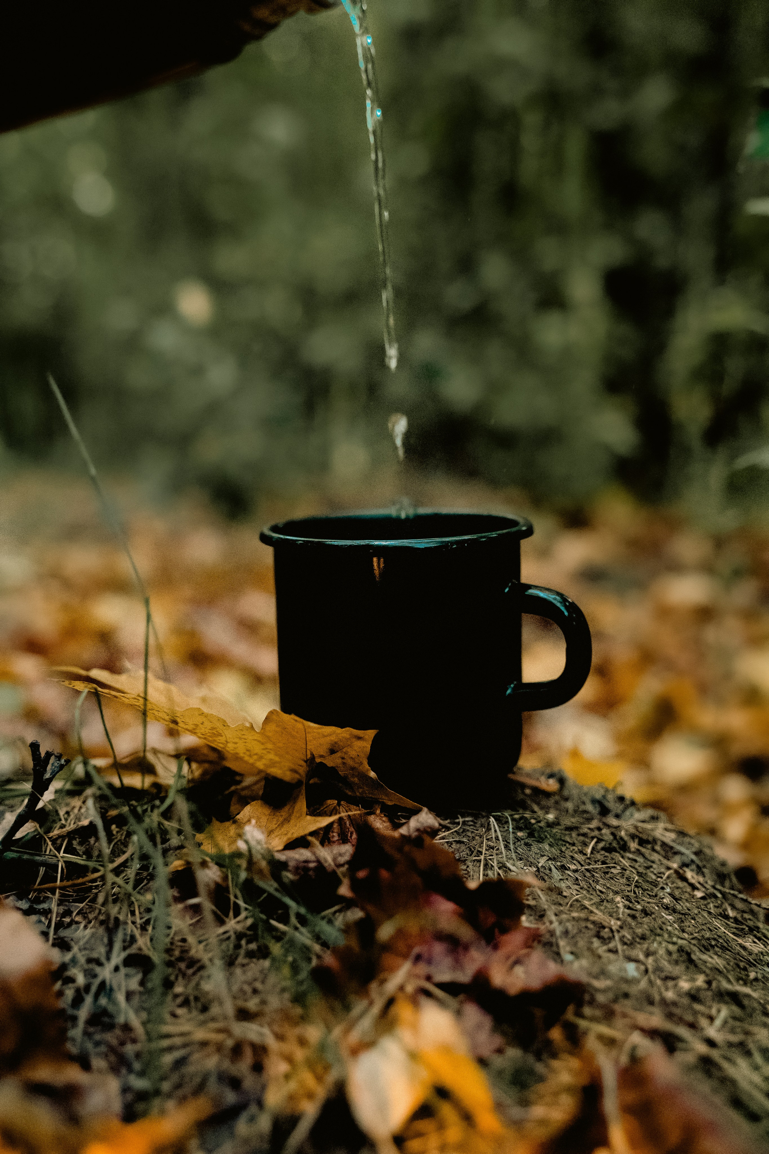 Нутрициолог. Контент фотограф в Москве Кулич Настя