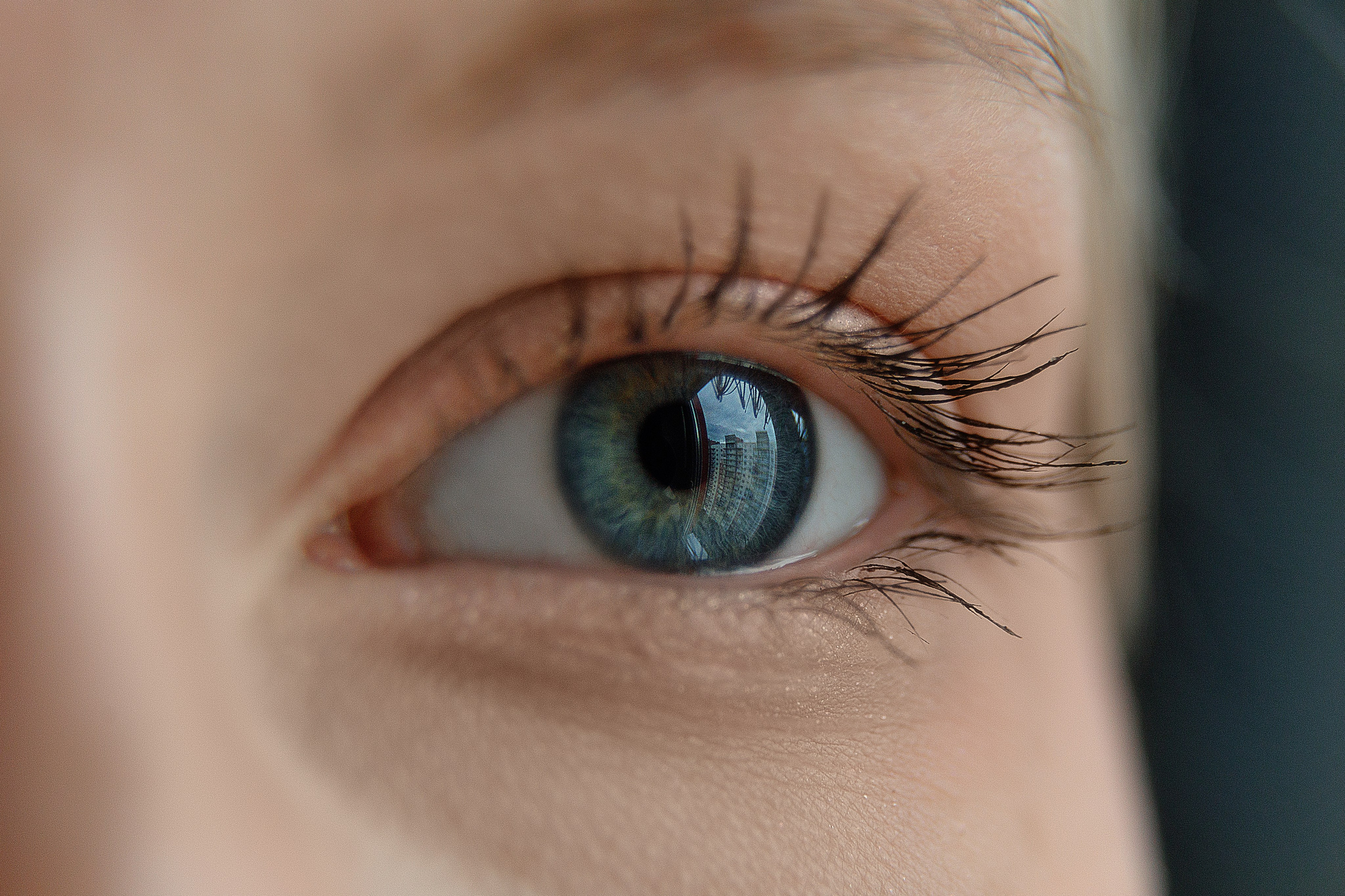 Проект «366»|2024|Фото каждый день. LENA GRACE photographer ||ЛЕНА ГРЭЙС фотограф