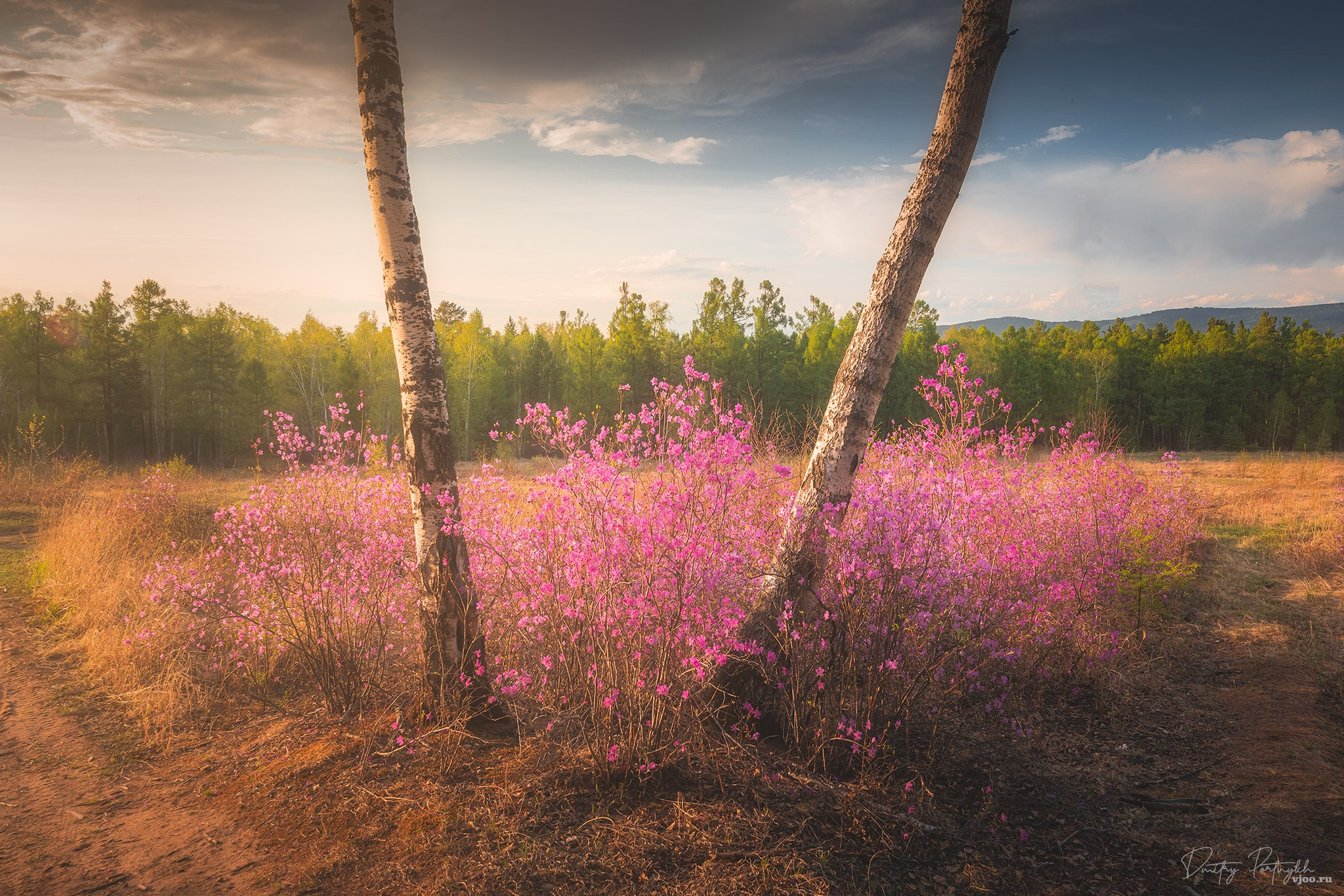 Пейзажный фотограф | Чита. Фотограф Дмитрий Портных | Чита