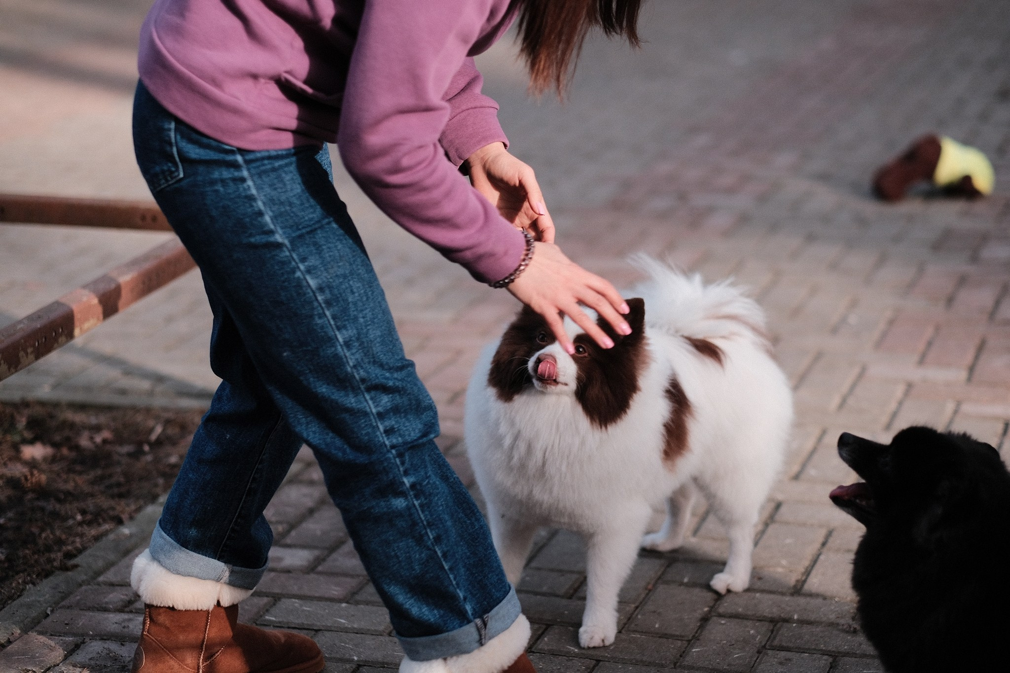 Аляска, Чарли, Пати и их люди. Дмитрий Бречалов