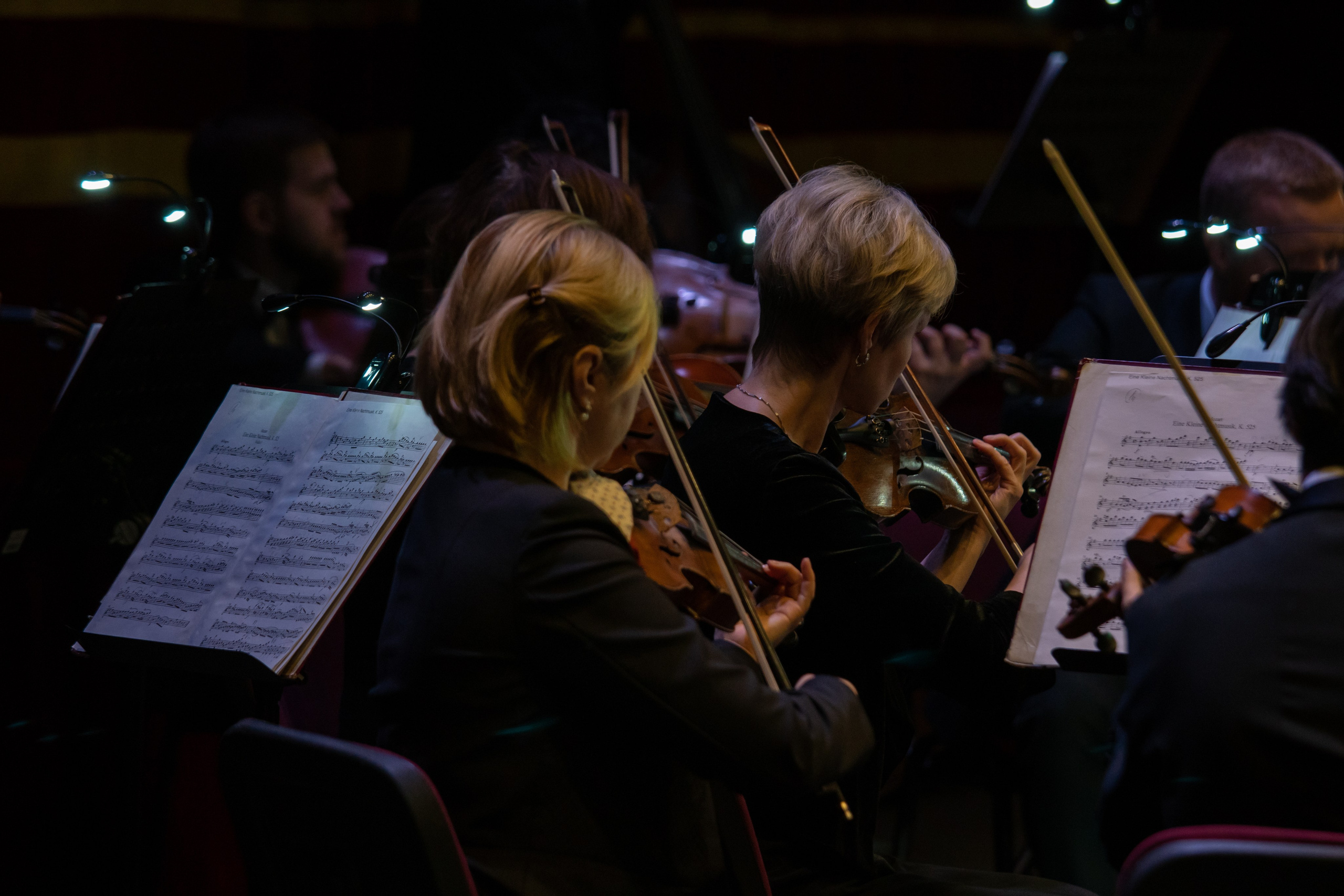 Съёмка концерта Домисольки с оркестром. «Студия DRONAVT`s» — видеосъёмка и фотография г. Москва