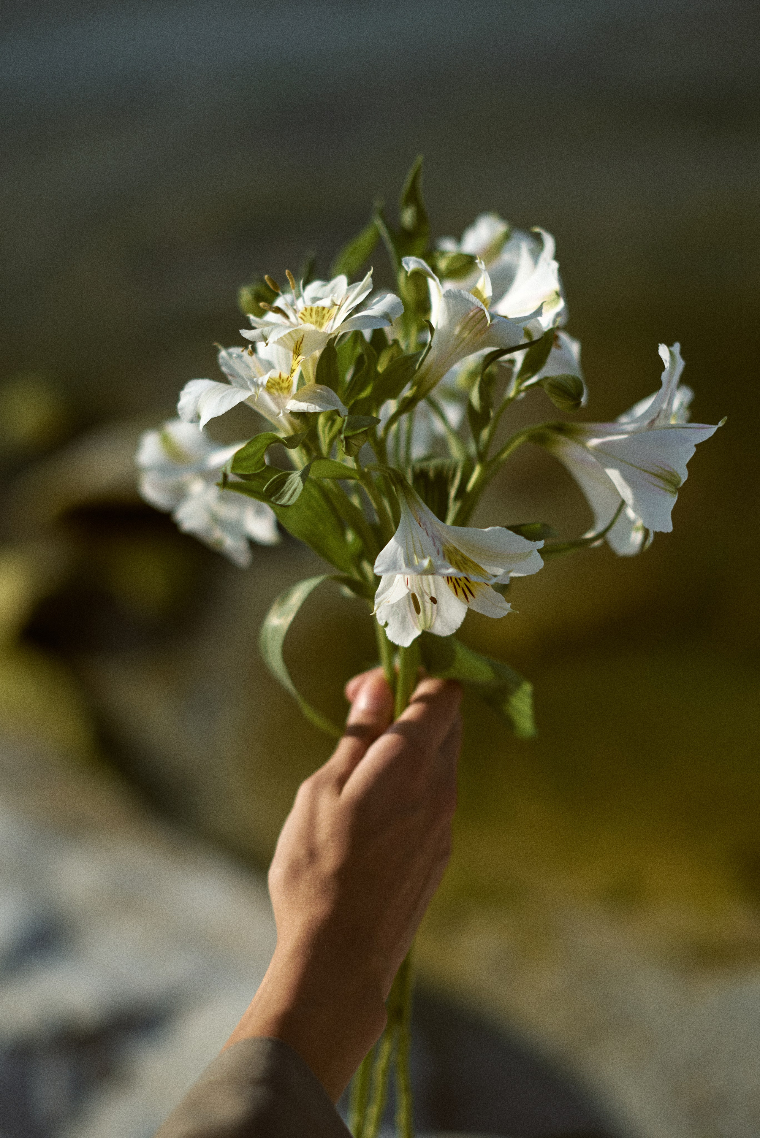 Вика. Фотограф Егорьевск Коломна Воскресенск