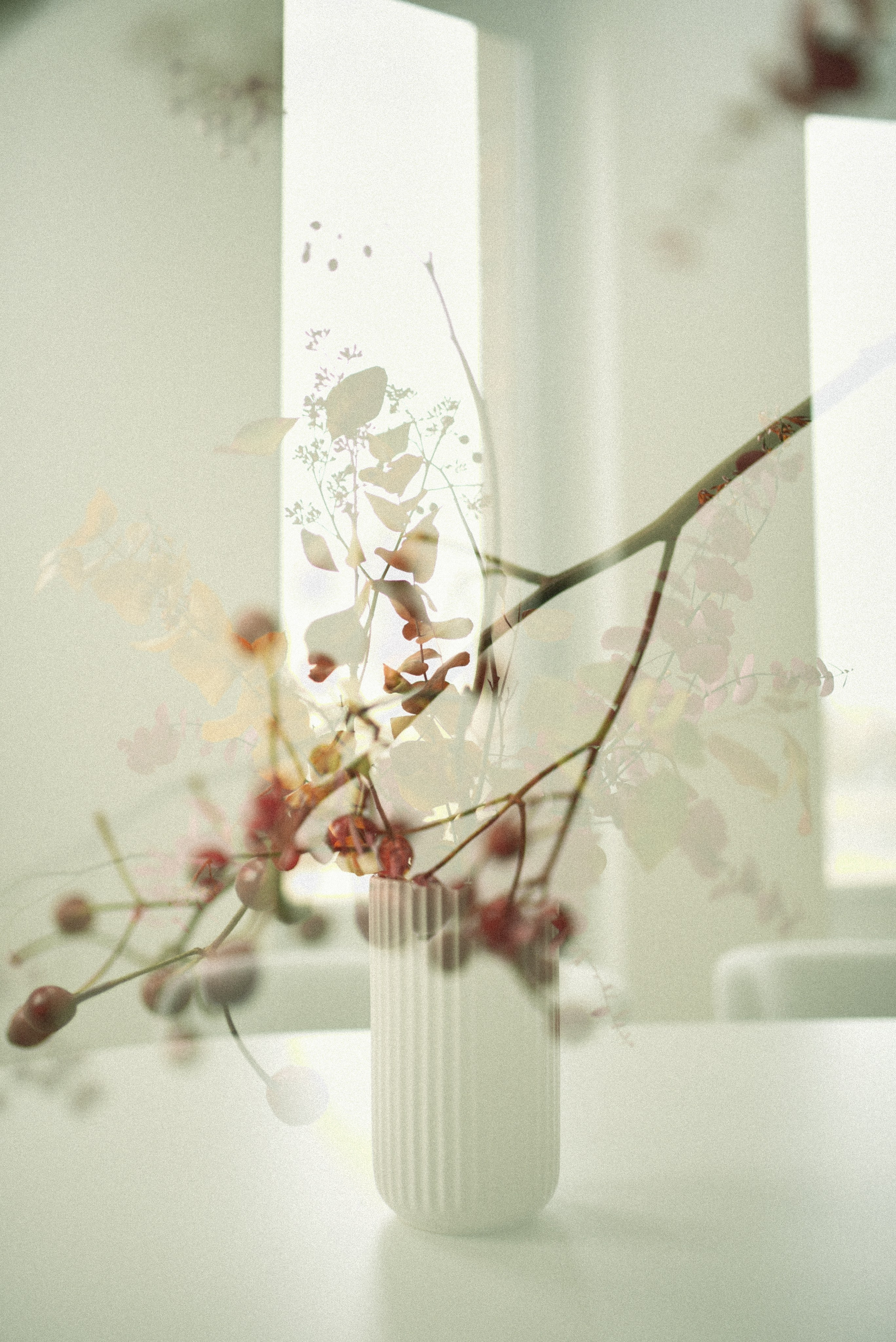 Nature. Anastasia Serdyuk, travel photographer, travel photo, portraits, stories, fineart prints