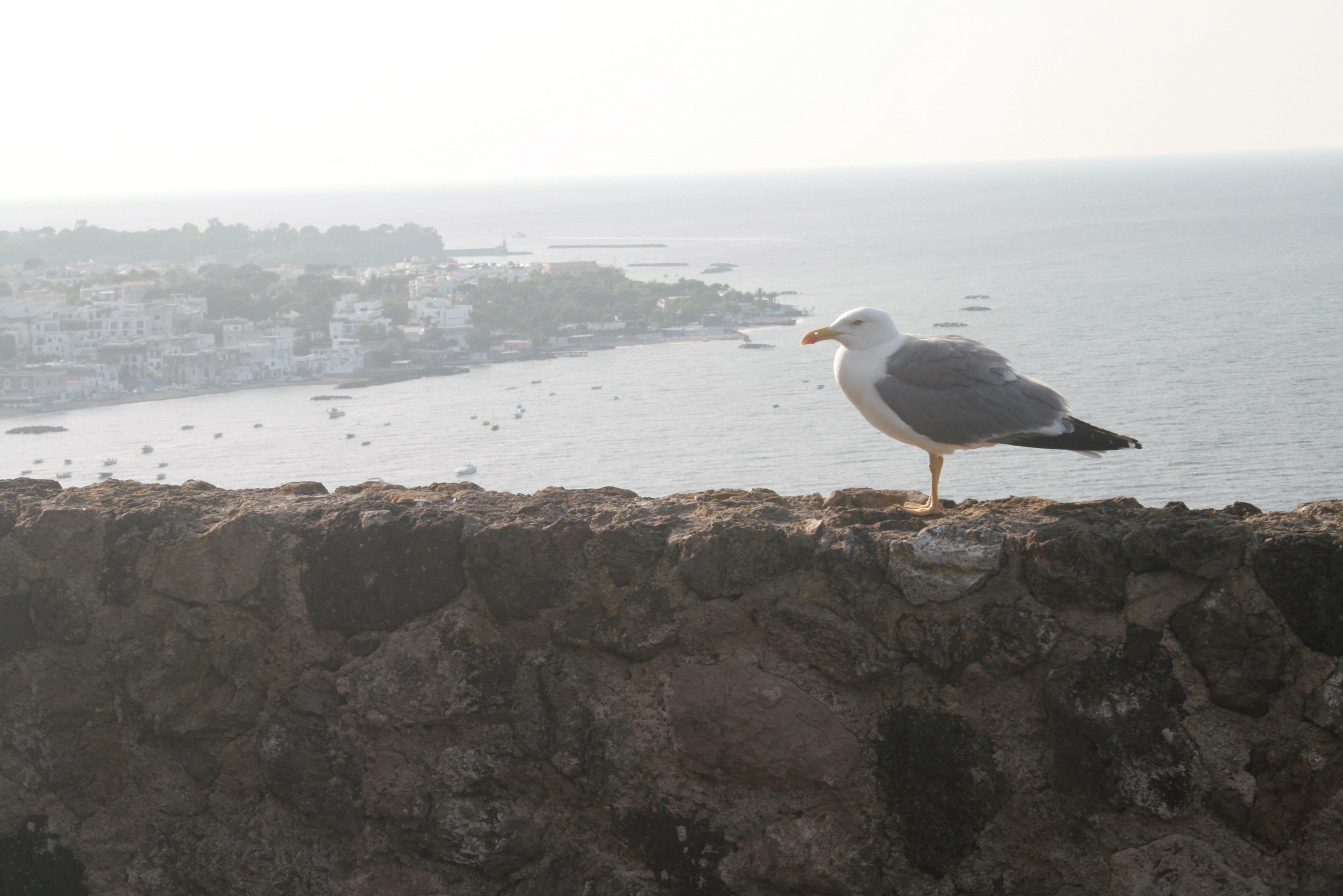 ИТАЛИЯ. Портретный и репортажный фотограф Наталья Горобец