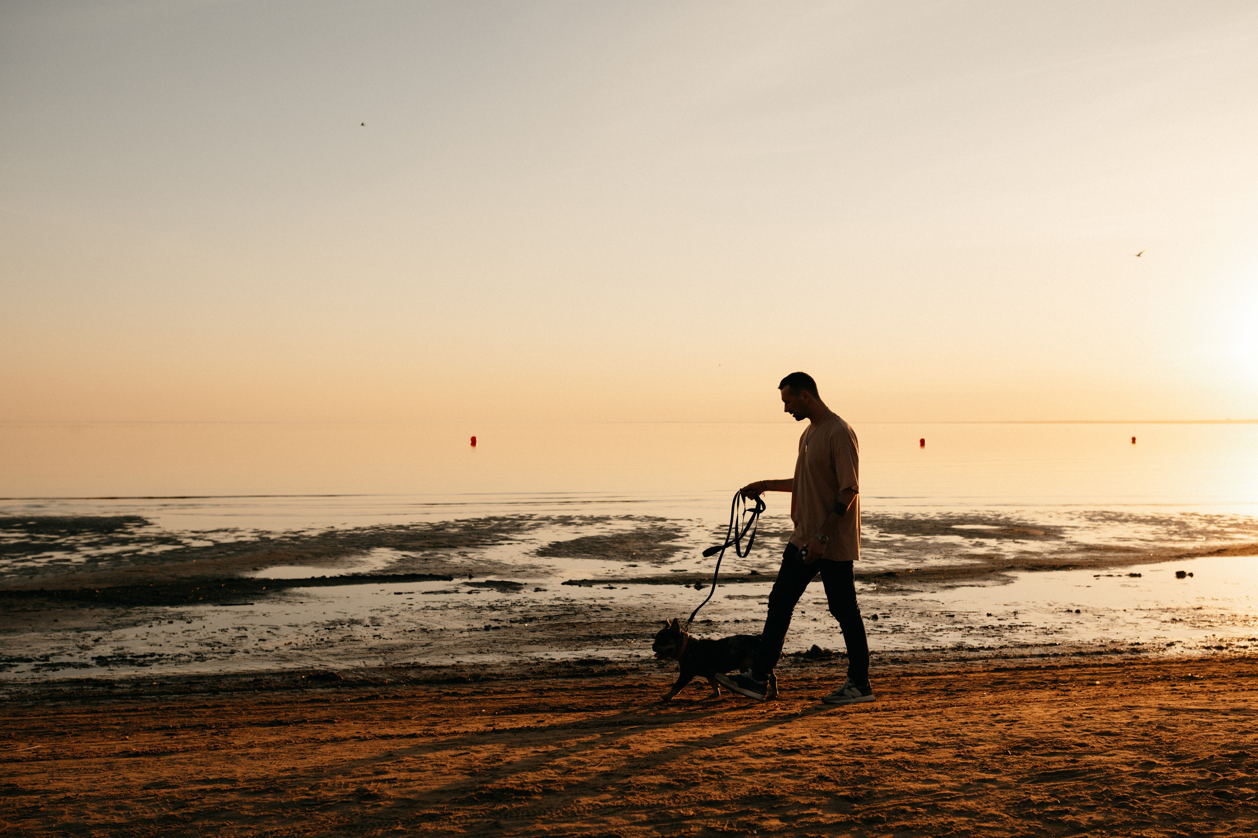 Коля и Бакс. Фотограф анималист в Москве Ольга Агушева