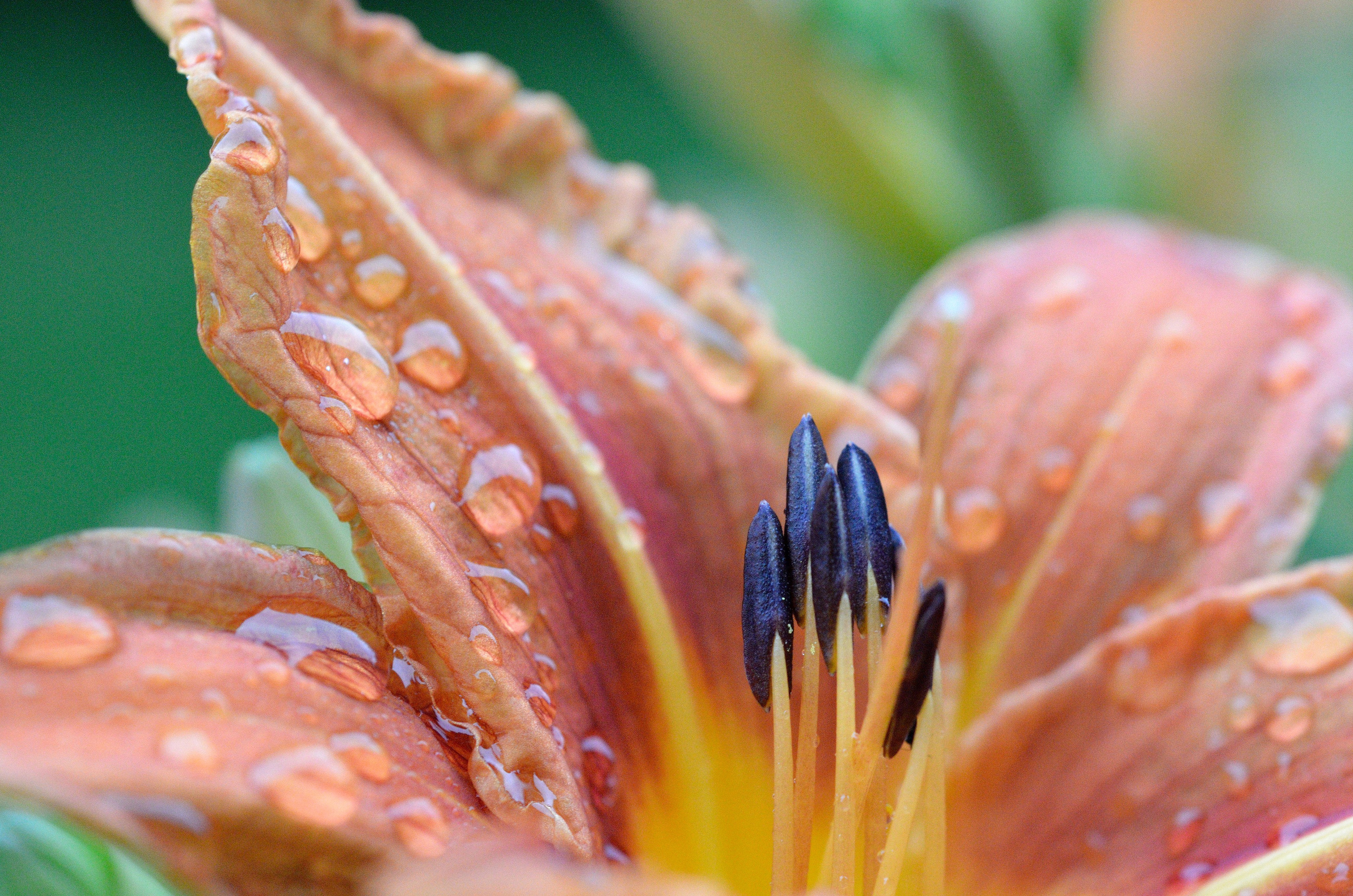 Весна. Пейзажный и предметный фотограф в Санкт-Петербурге Александр Богданов