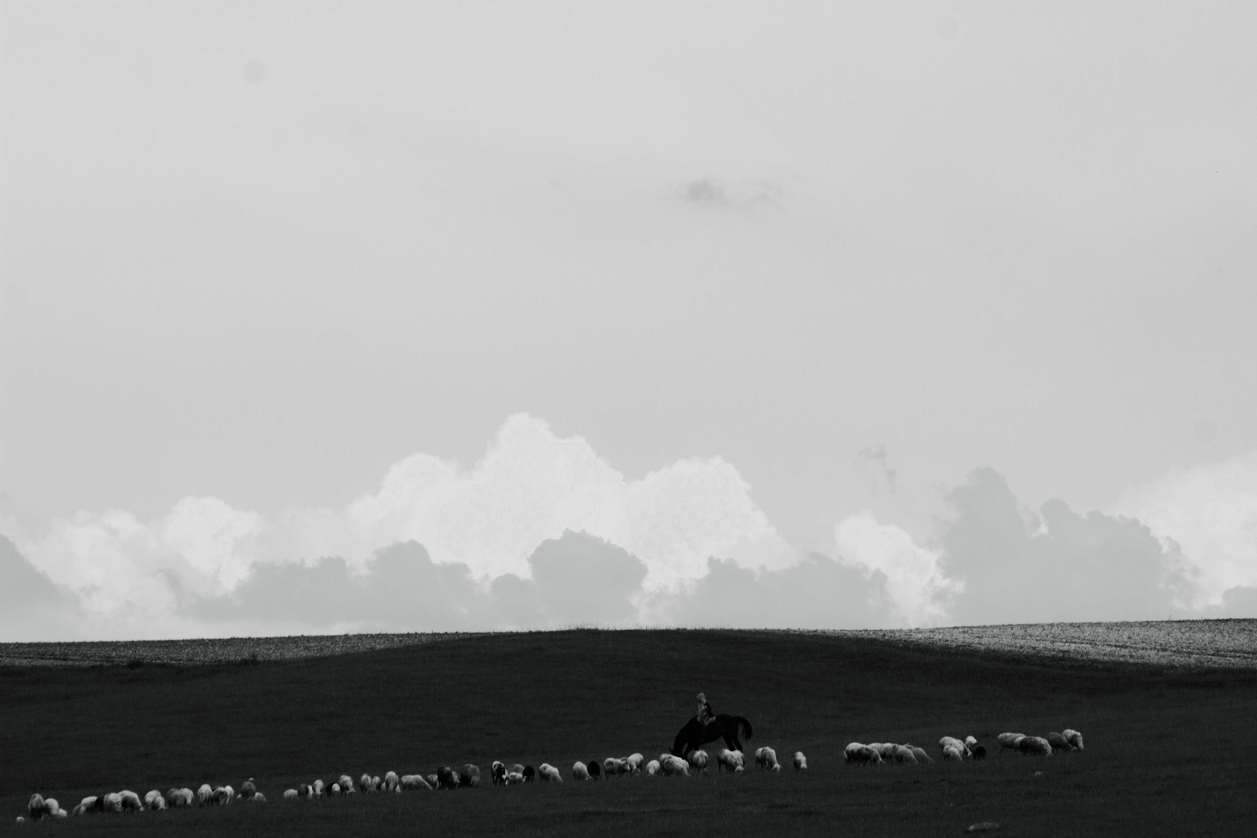 Тишина. Documentary photographer