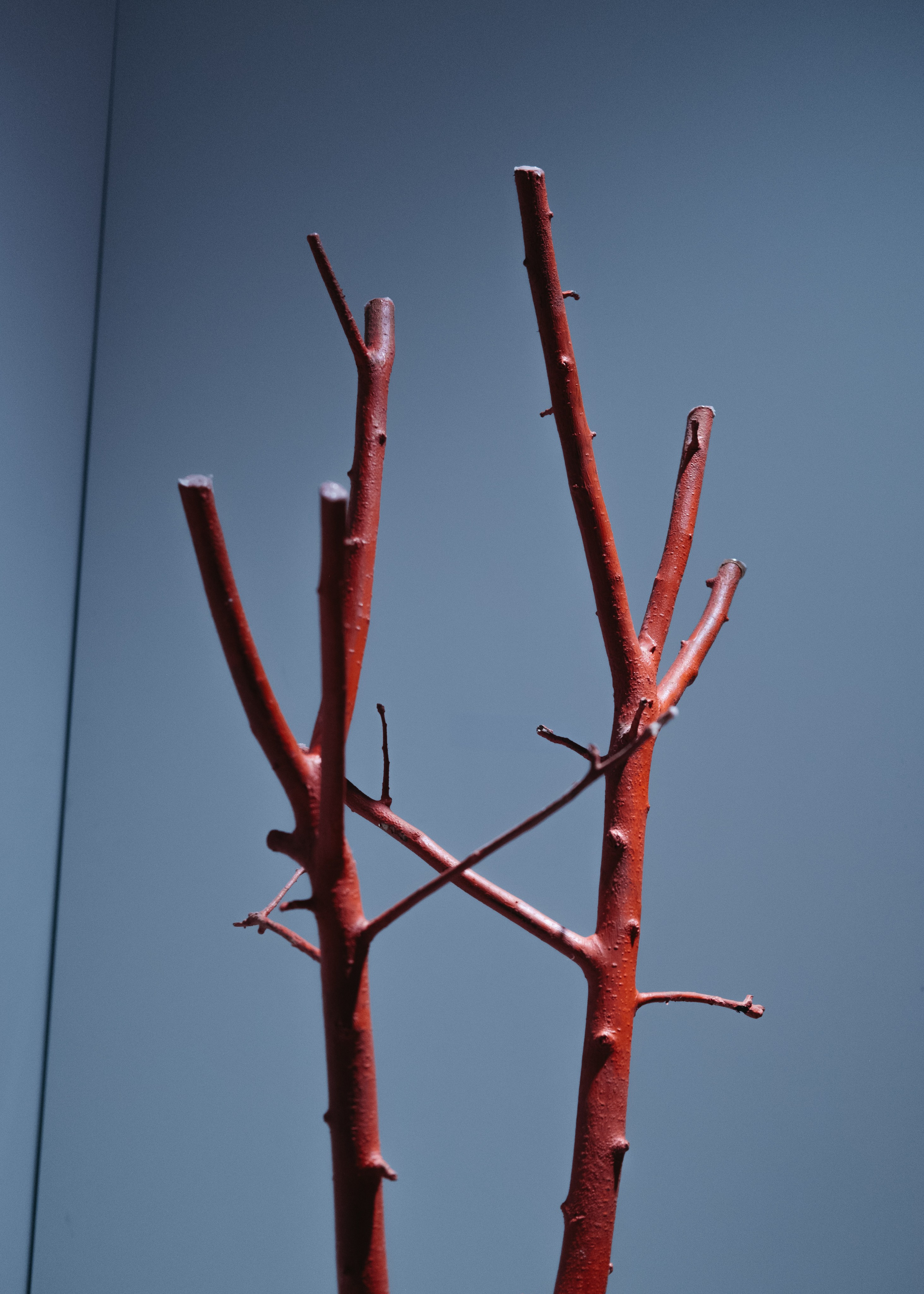 СЧАСТЬЕ & Альфия Sargin. Обо мне