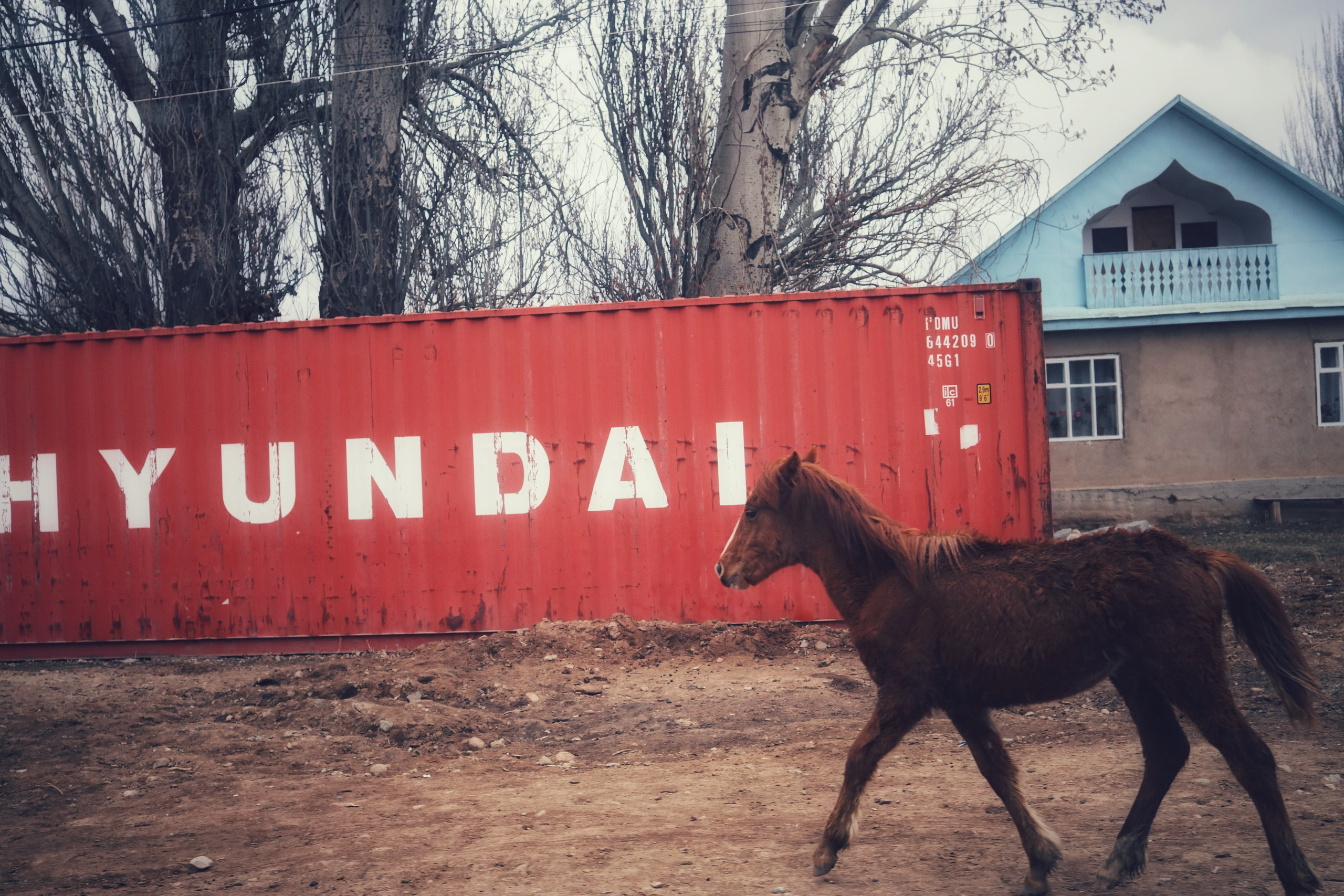 Around Issyk-Kul / Spring, Summer, Fall, Winter… and Spring. POLINA MÔMOT