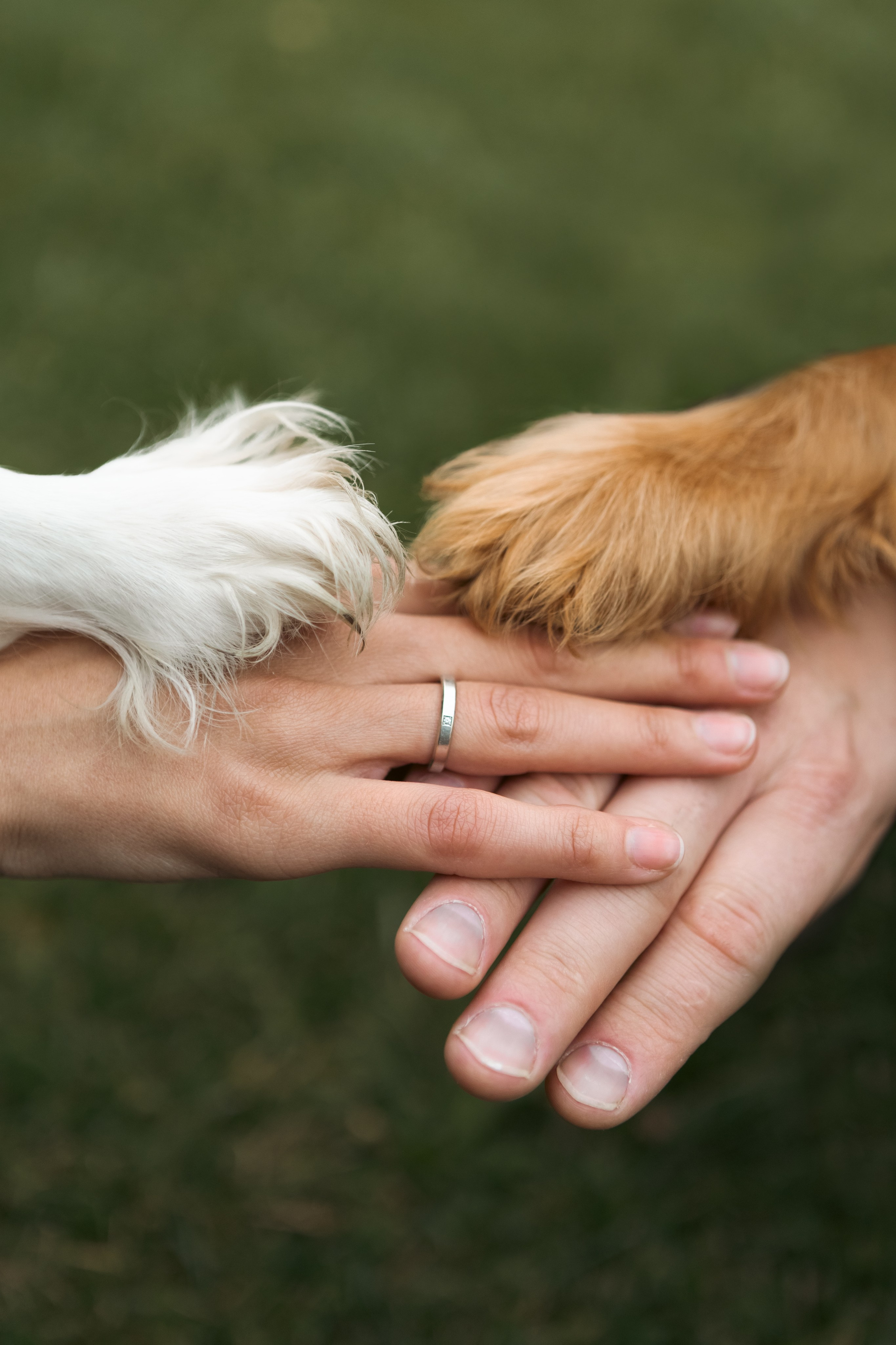 Рената и Сергей. Портретный фотограф в Москве Анастасия