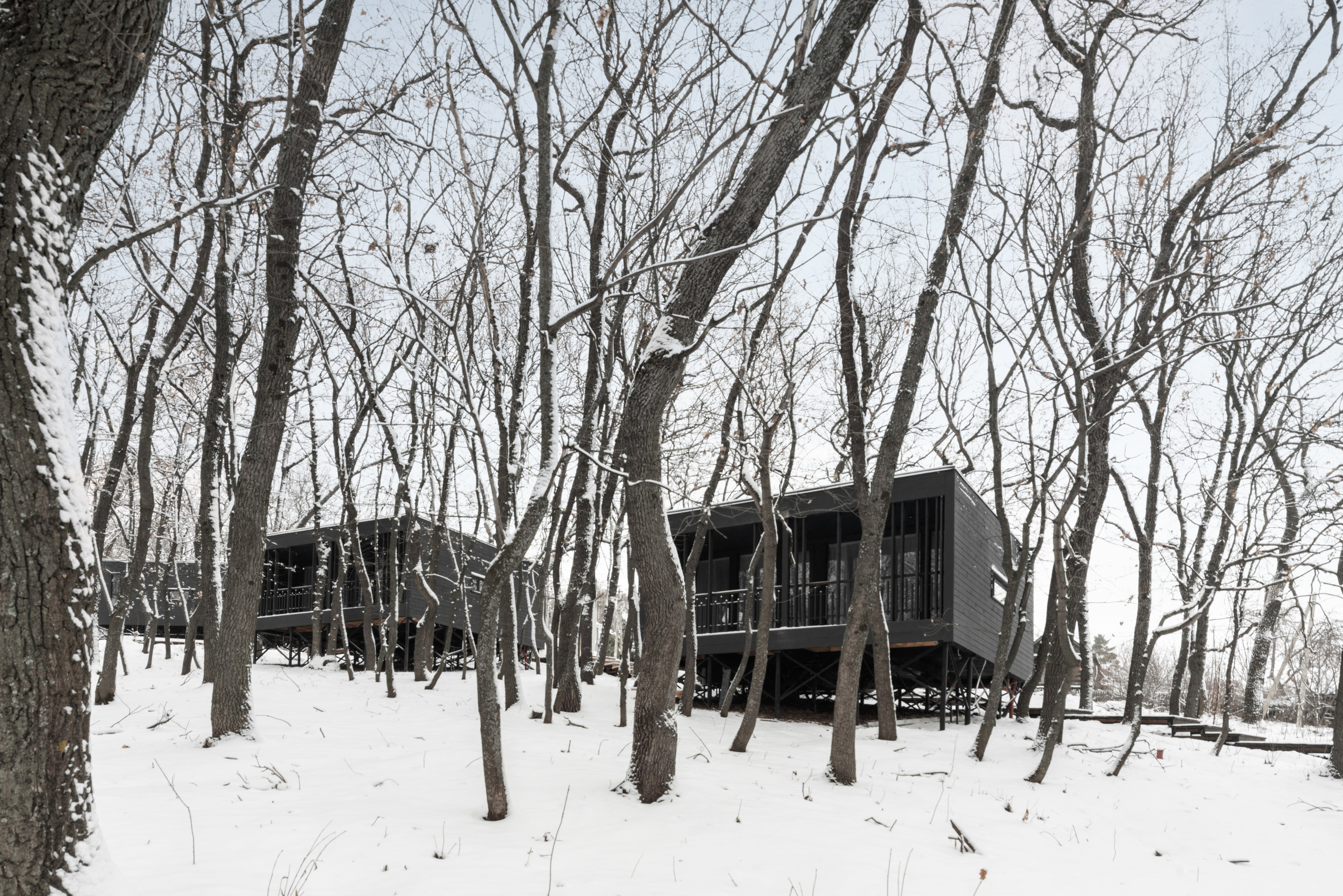 ХОЛМ. SAAS Селиванов Алексей Архитектурная Студия