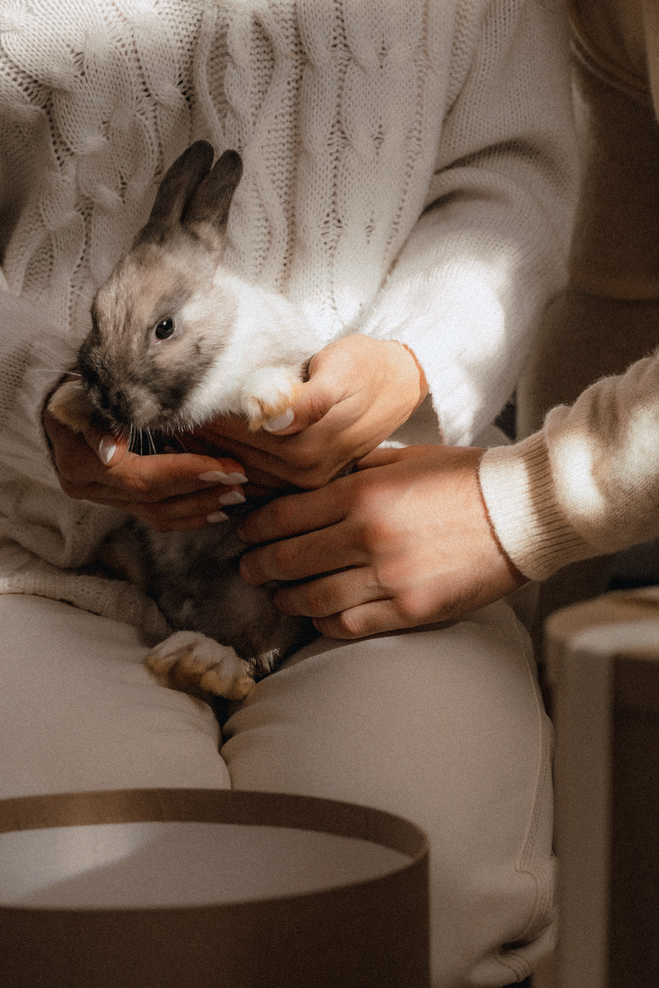 Пушистый Новый год. Семейный и свадебный фотограф в Самаре