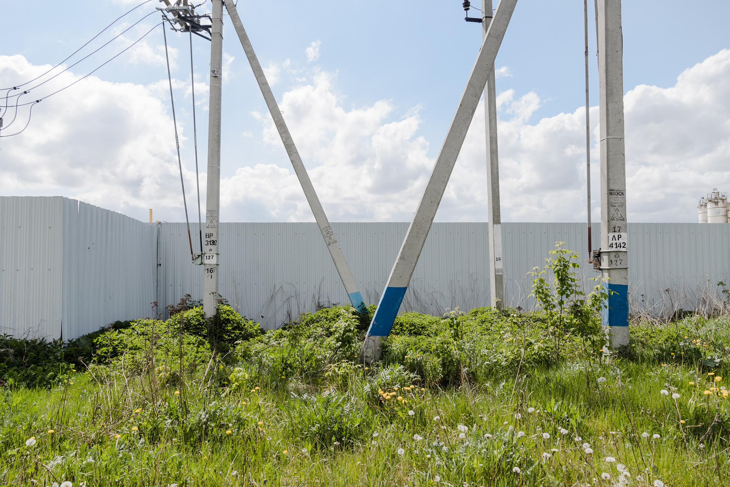 Открытый мир. DASHA KALNINA